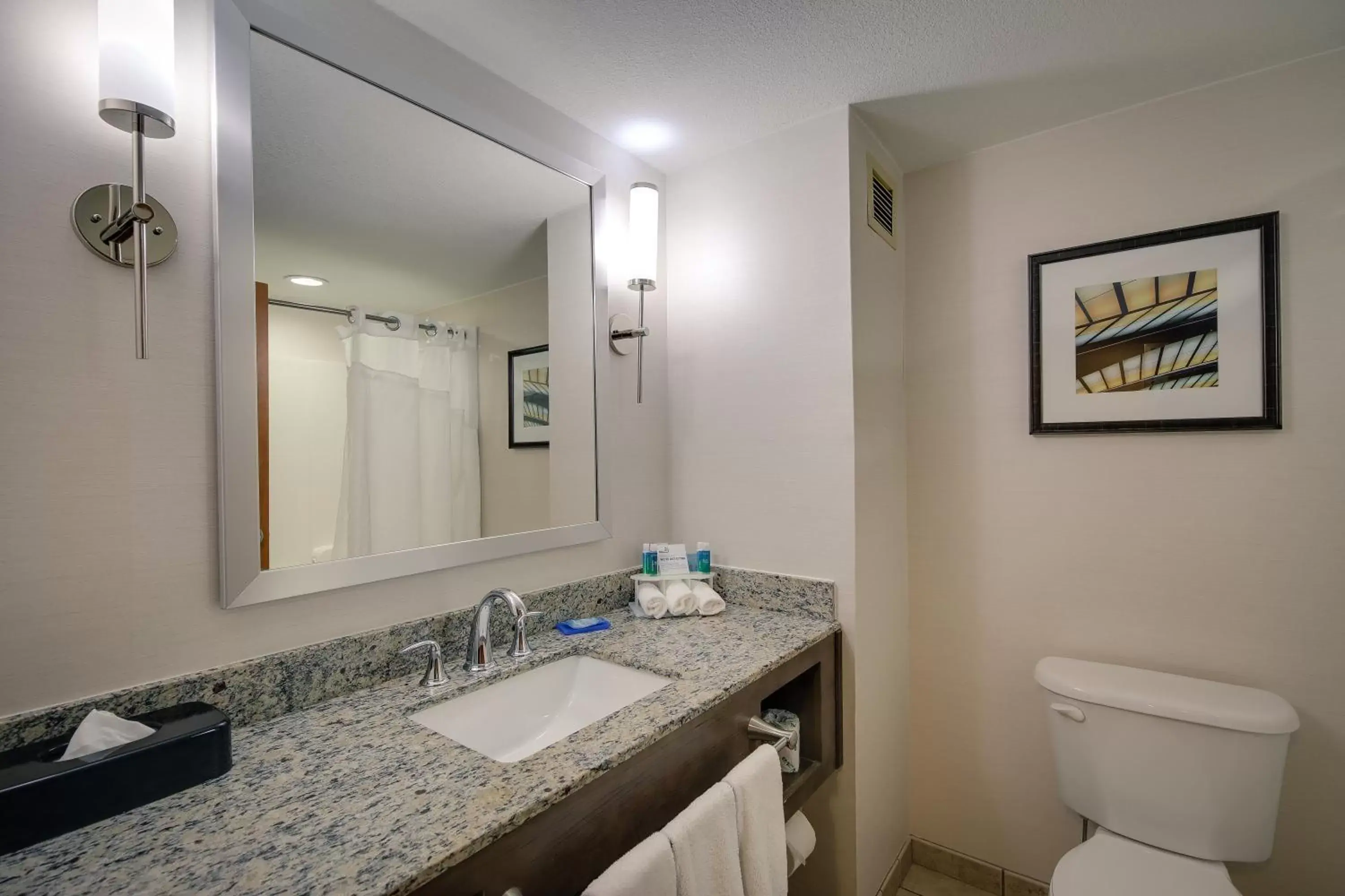 Bathroom in Holiday Inn Express & Suites Sylva / Dillsboro, an IHG Hotel