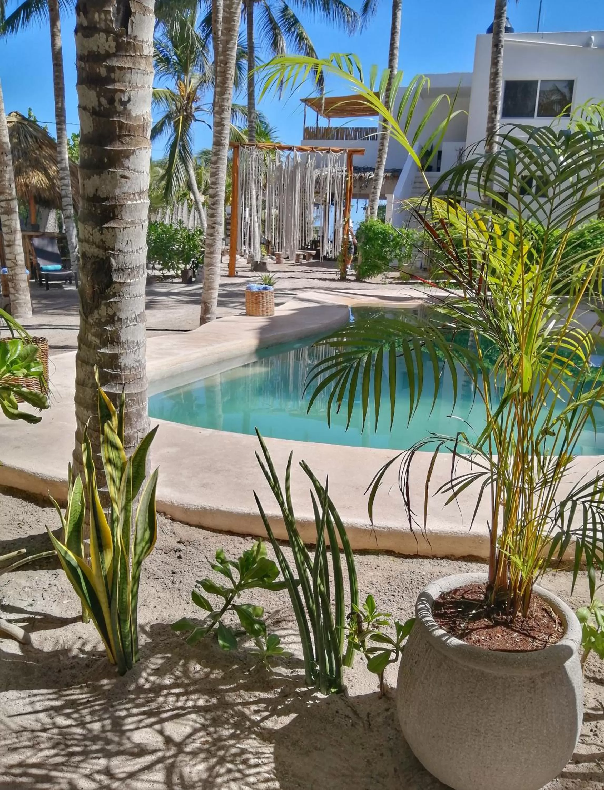 Swimming Pool in Hotel Boutique Can Cocal El Cuyo