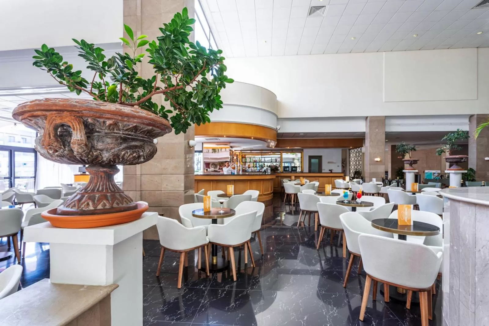 Lounge or bar in Louis Phaethon Beach