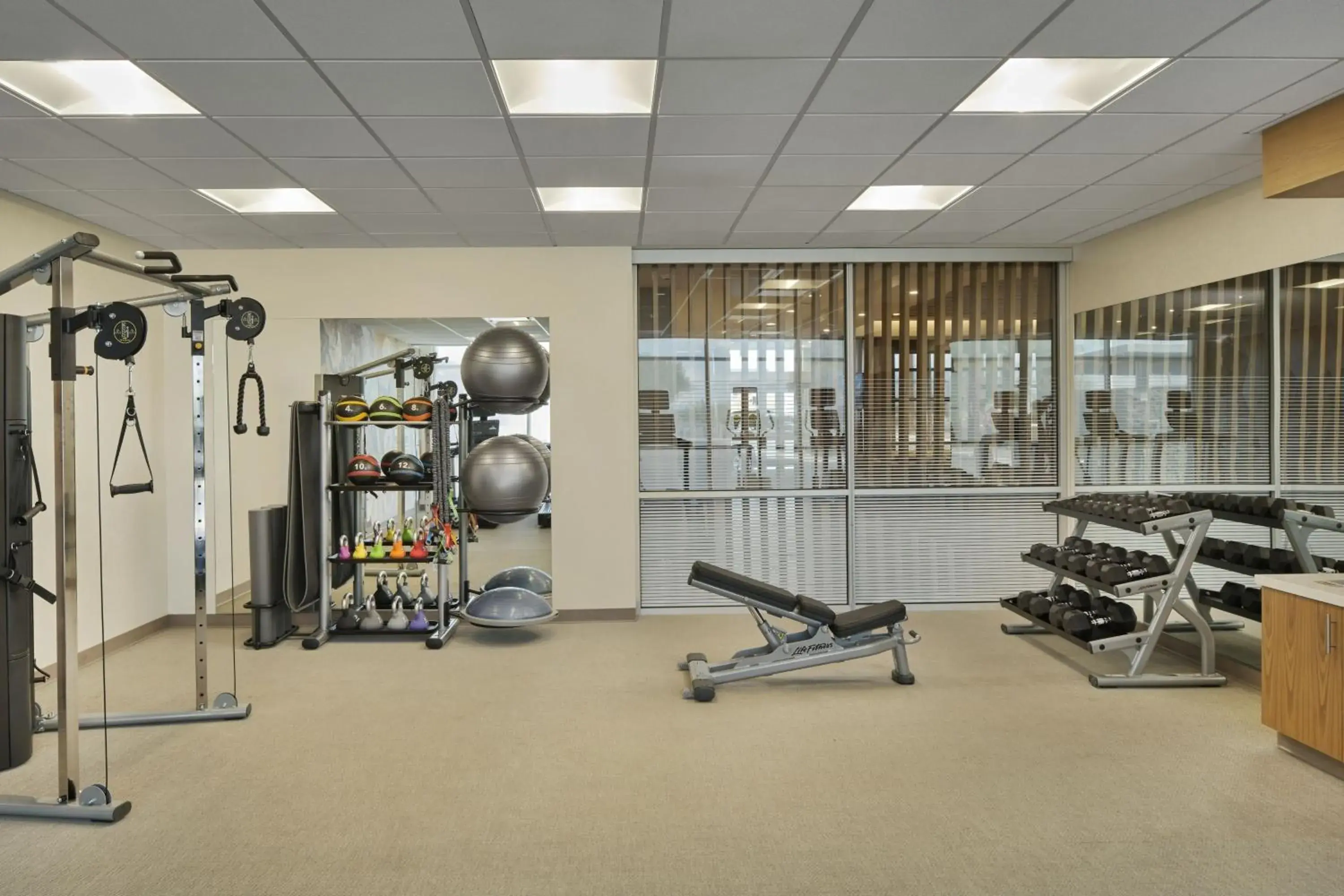 Fitness centre/facilities, Fitness Center/Facilities in SpringHill Suites by Marriott Las Vegas Airport