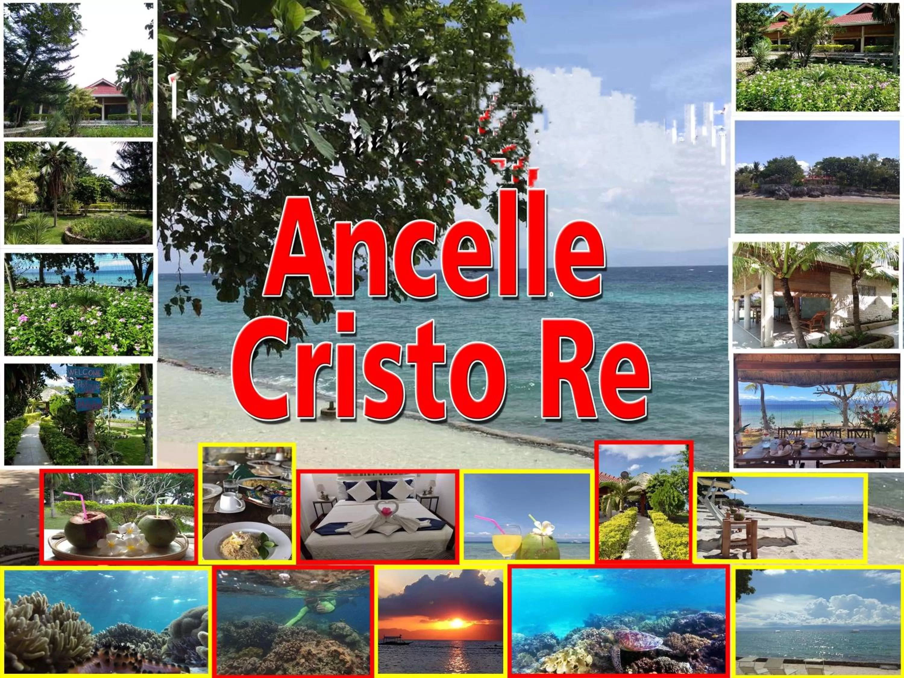 Property logo or sign in Ancelle Cristo Re