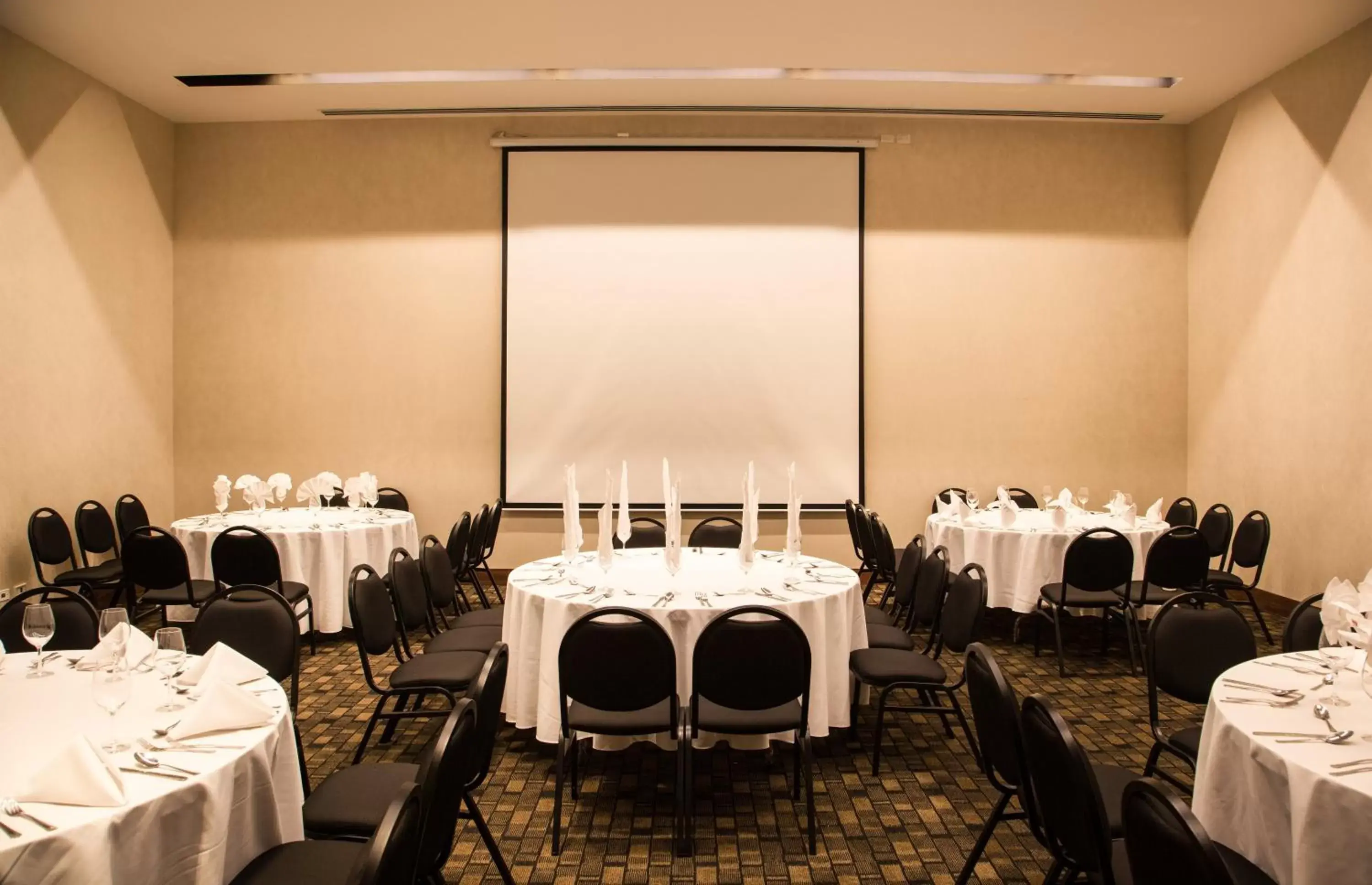 Meeting/conference room, Banquet Facilities in Fiesta Inn Plaza Central Aeropuerto