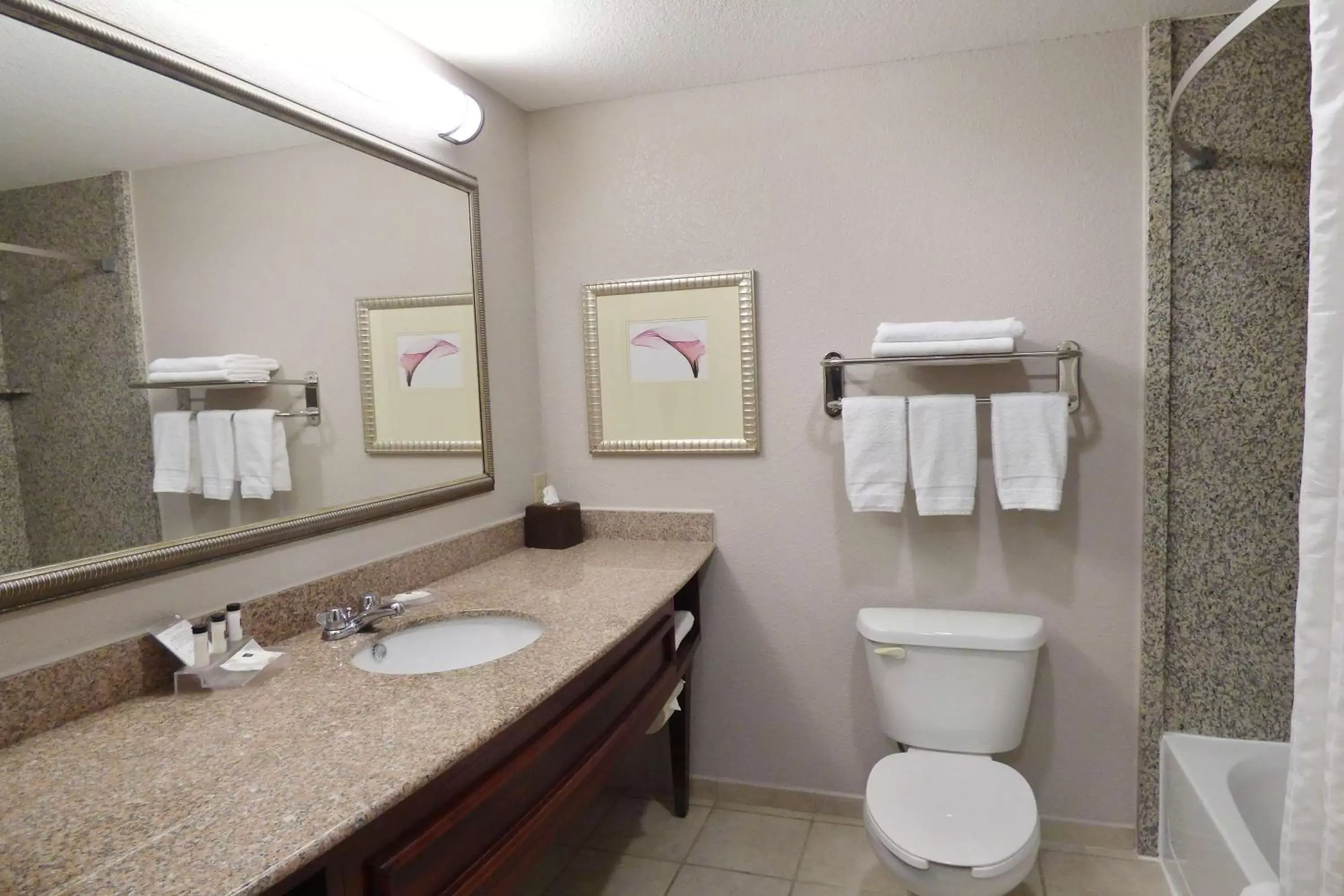 Bathroom in Country Inn & Suites by Radisson, Pensacola West, FL