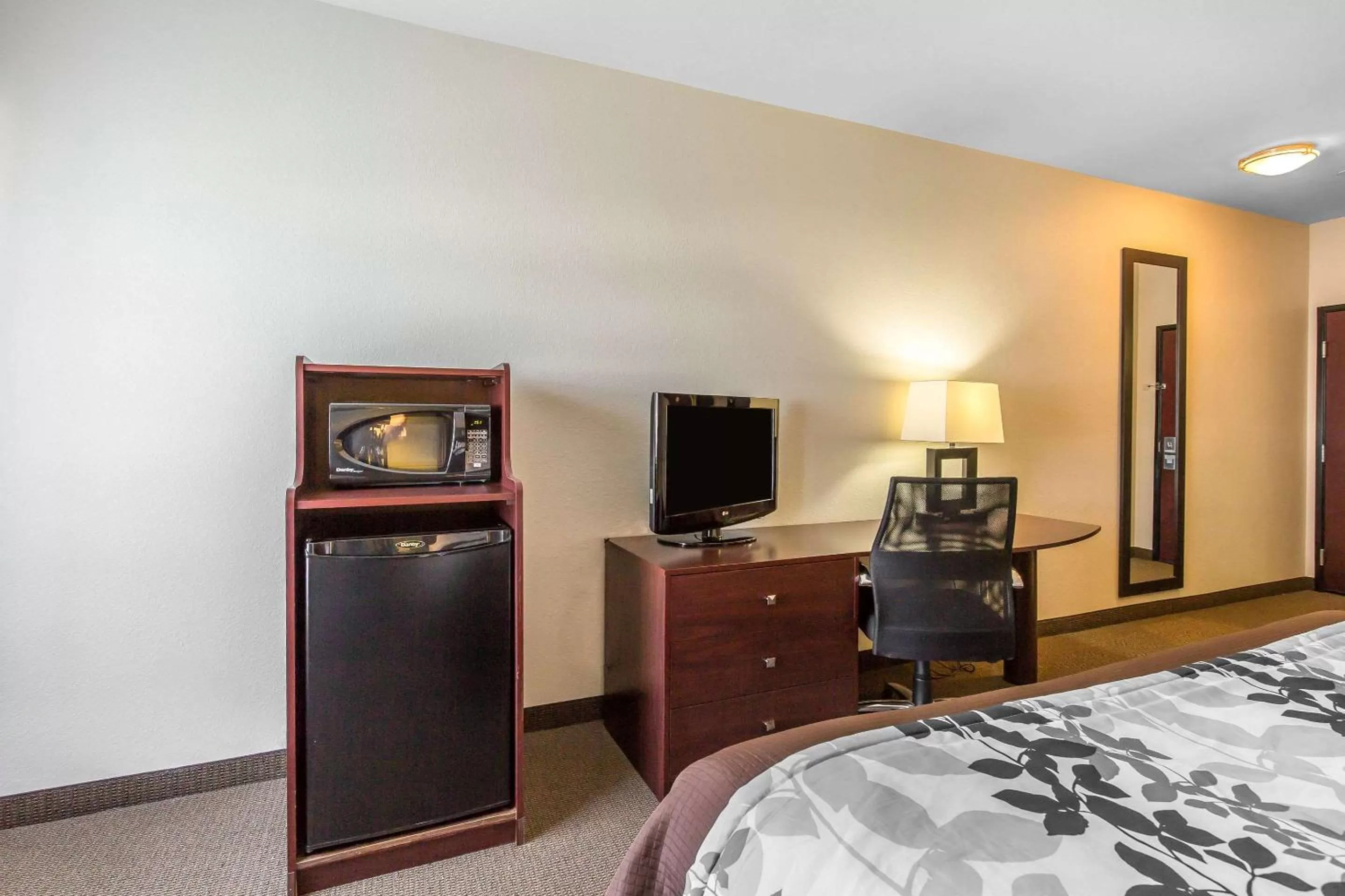 Accessible King Suite with Sofa Bed - Non Smoking in Sleep Inn & Suites Bush Intercontinental - IAH East