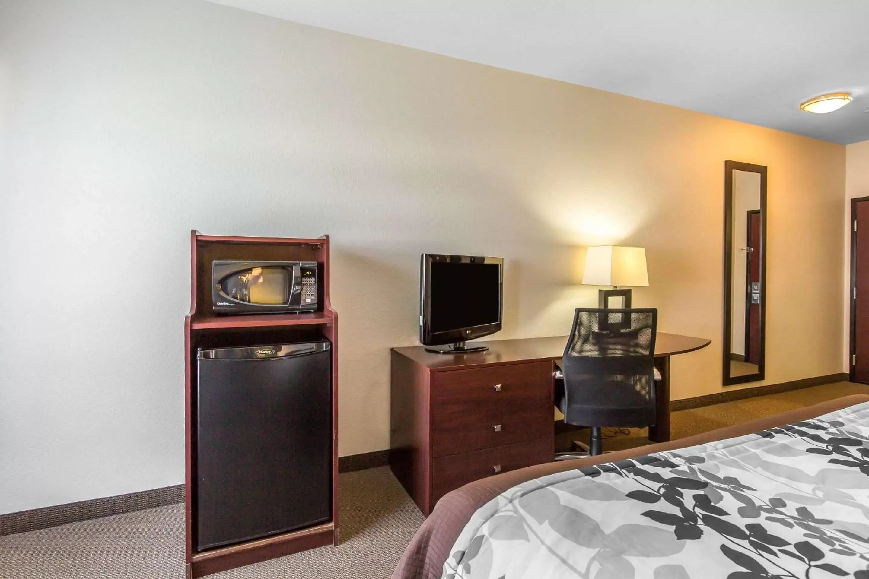 Bed, TV/Entertainment Center in Sleep Inn & Suites Bush Intercontinental - IAH East