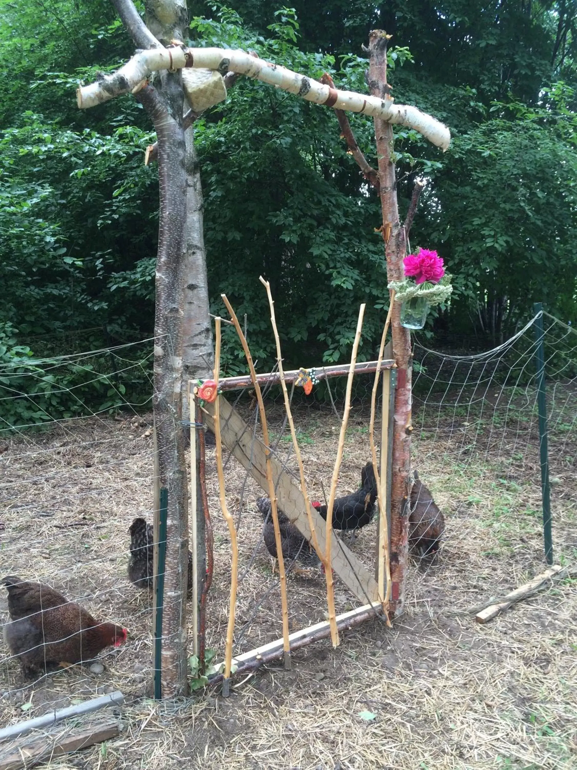 Animals, Children's Play Area in Gardenside Bed and Breakfast