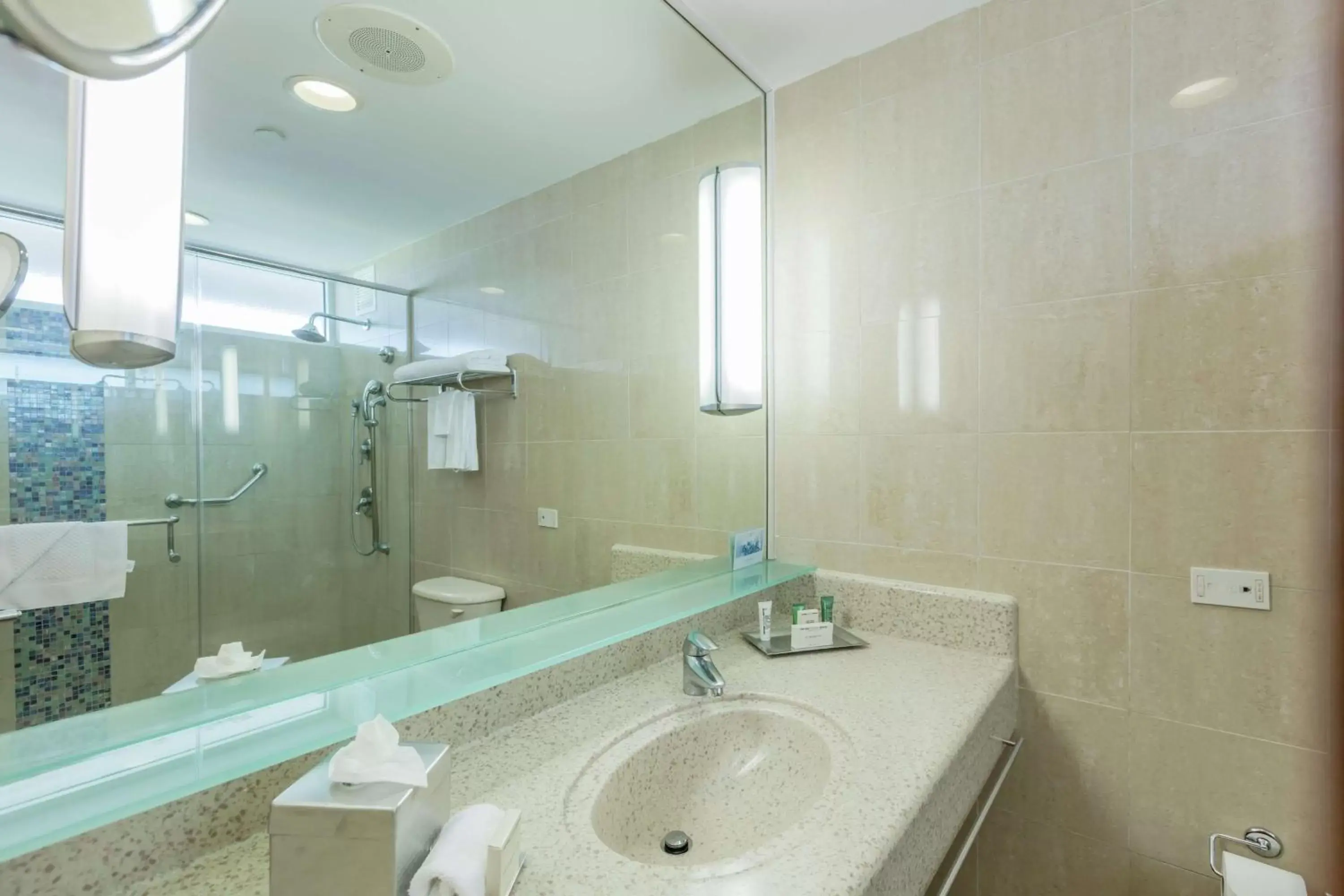 Shower, Bathroom in Hilton Ponce Golf & Casino Resort
