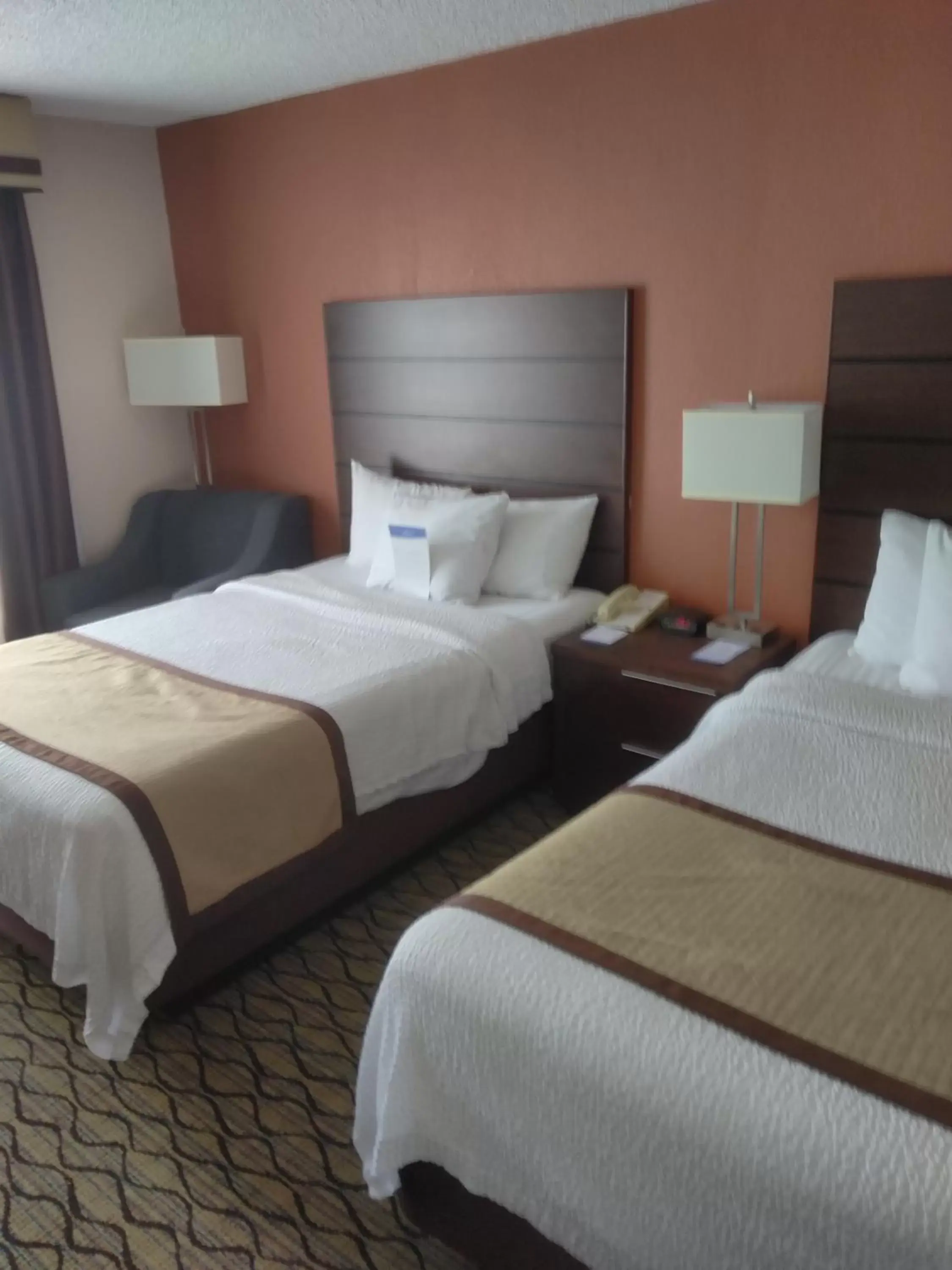 Bedroom, Bed in Baymont by Wyndham Madison Heights Detroit Area Bedroom, Bed in Baymont by Wyndham Madison Heights Detroit Area