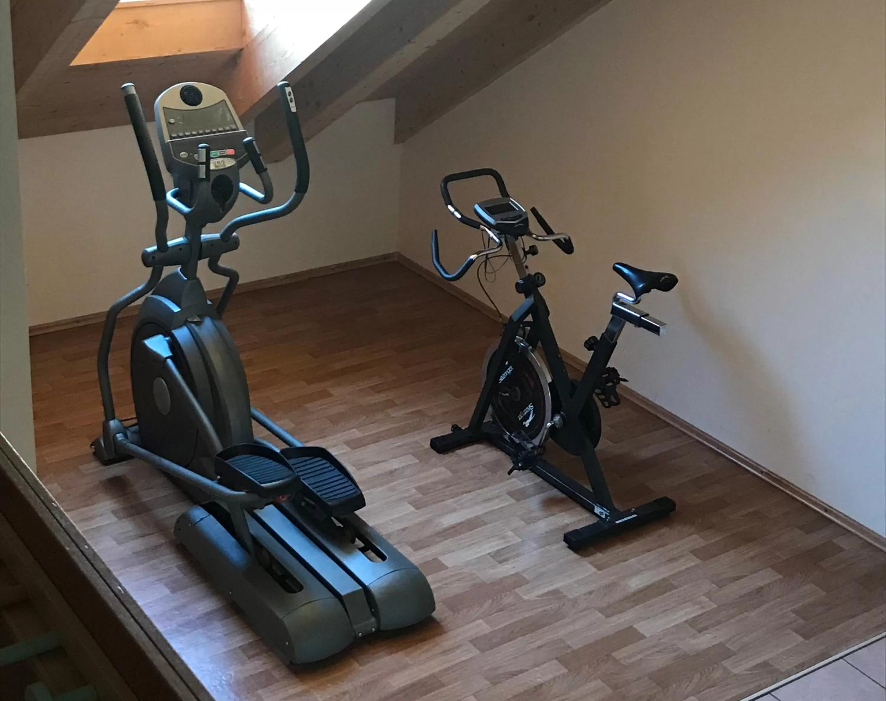 Fitness centre/facilities in SORAT Insel-Hotel Regensburg
