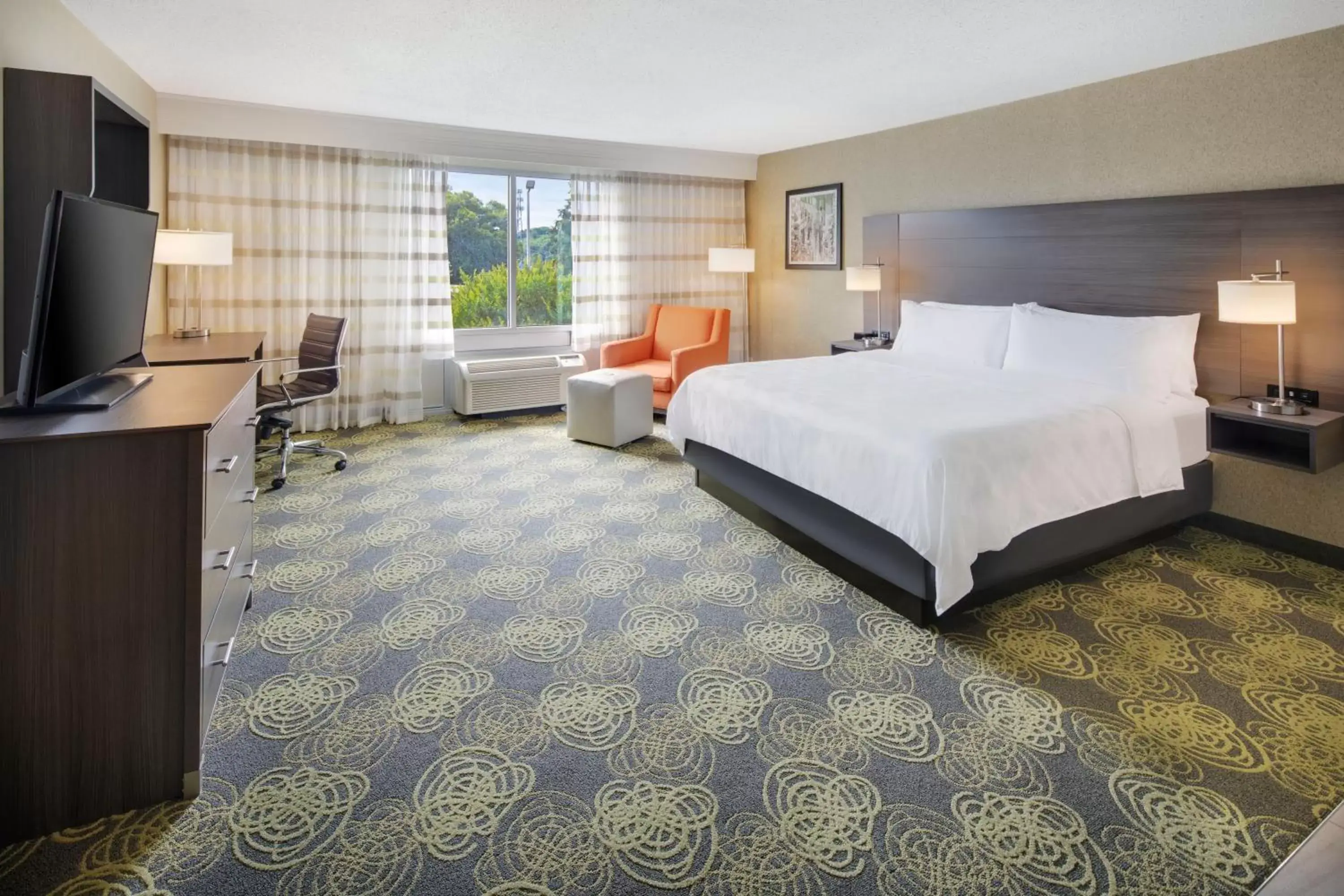 Photo of the whole room in Holiday Inn University Area Charlottesville, an IHG Hotel