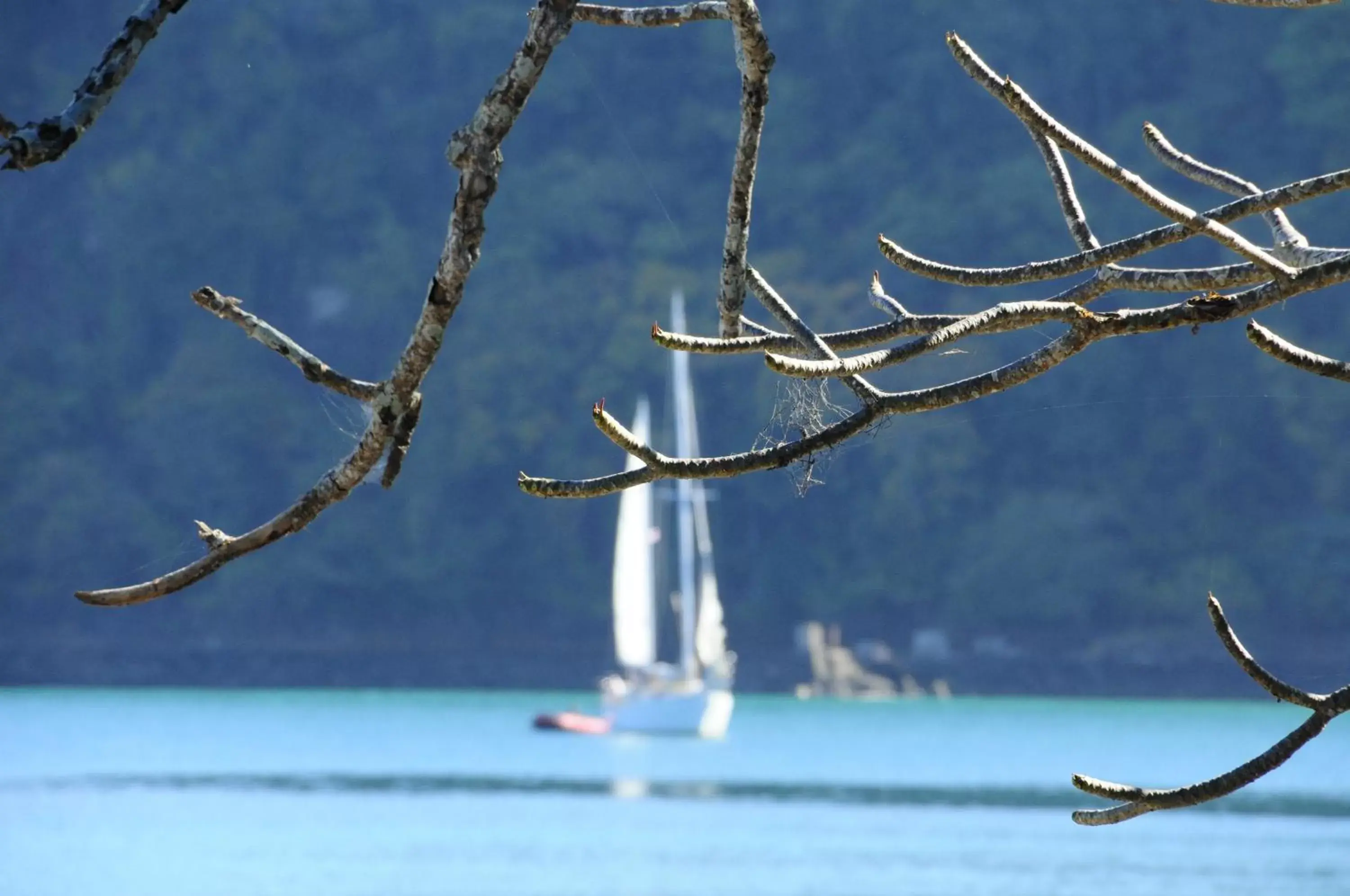 Natural landscape in Hotel Punta Leona