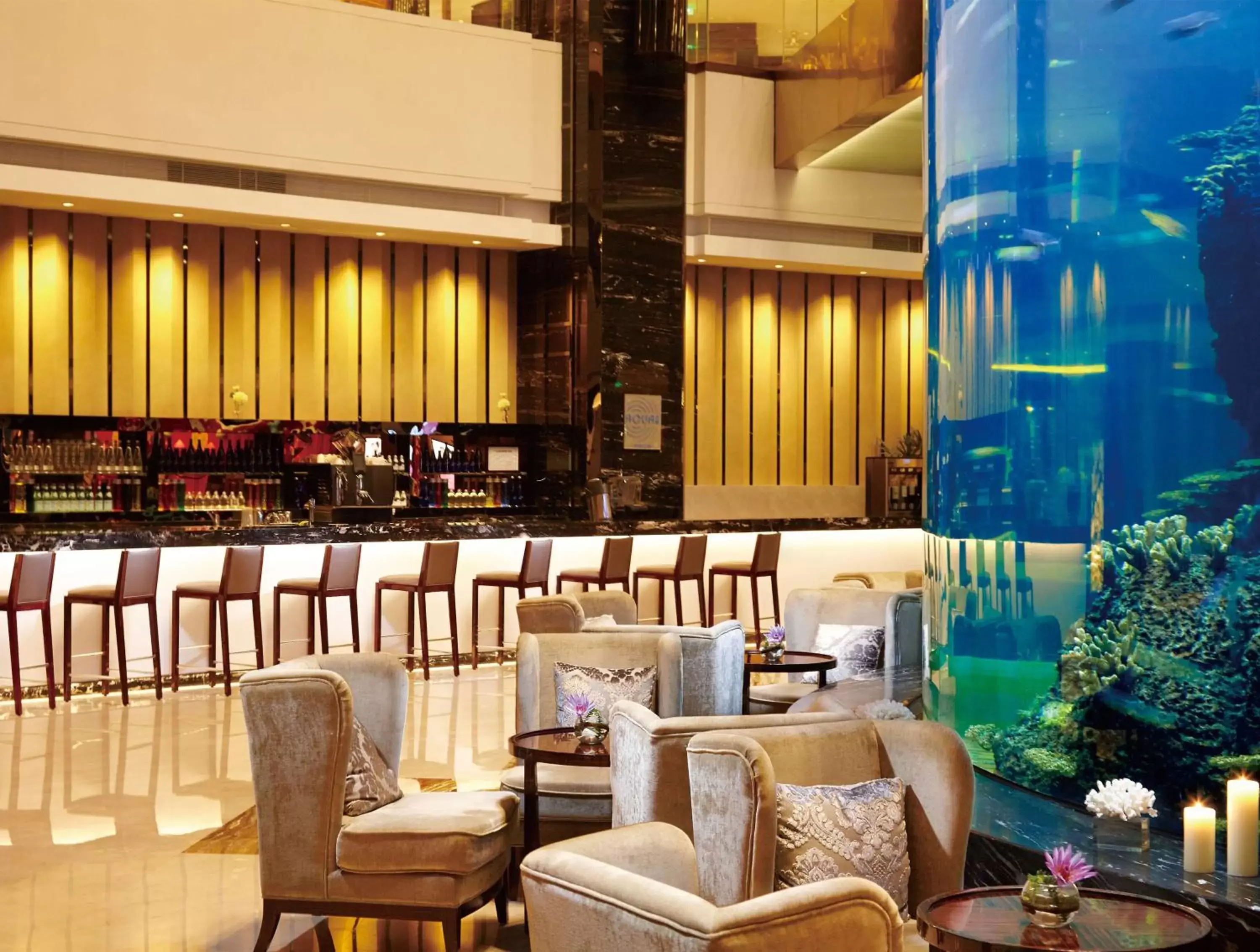 Restaurant/places to eat in Hilton Foshan - Free Shuttle Bus to Canton Fair Restaurant/places to eat in Hilton Foshan - Free Shuttle Bus to Canton Fair