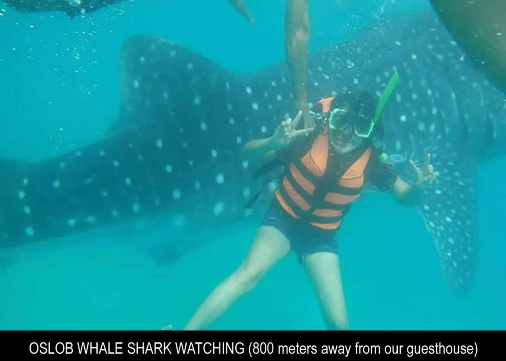 Island Front - Bangcogon Resort and Restaurant