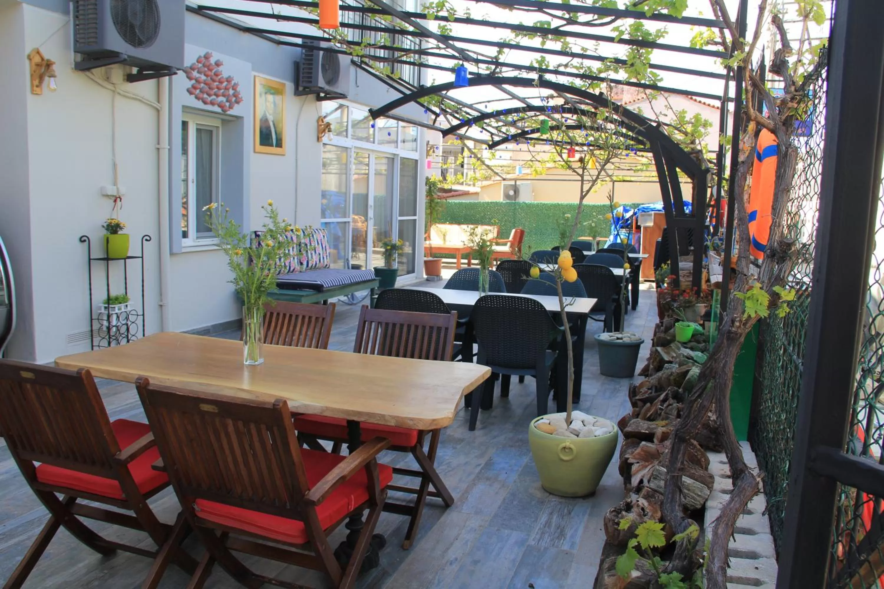 Restaurant/places to eat in Balim Sultany