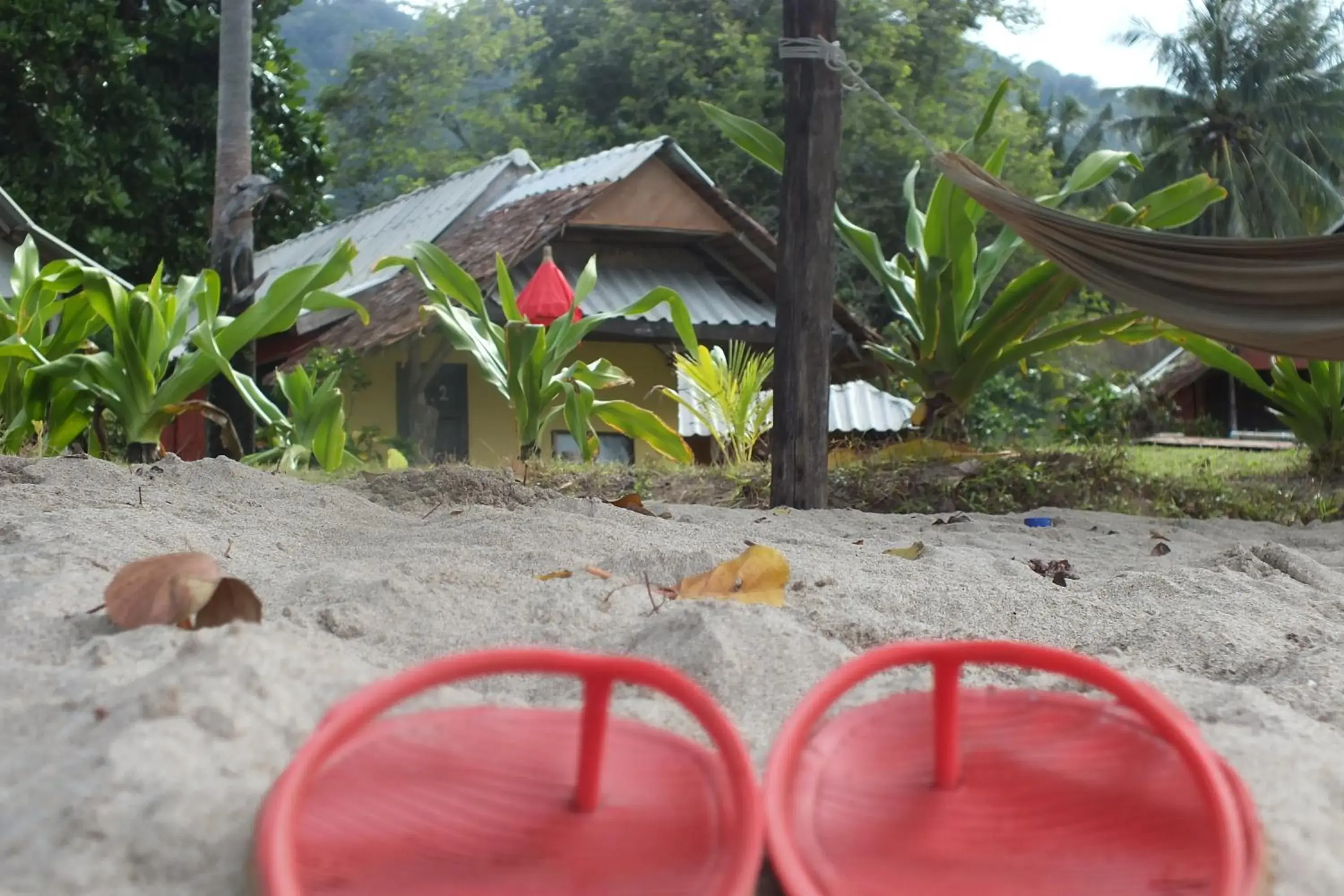 Natural landscape in Klong Jark Bungalow (SHA Certified)