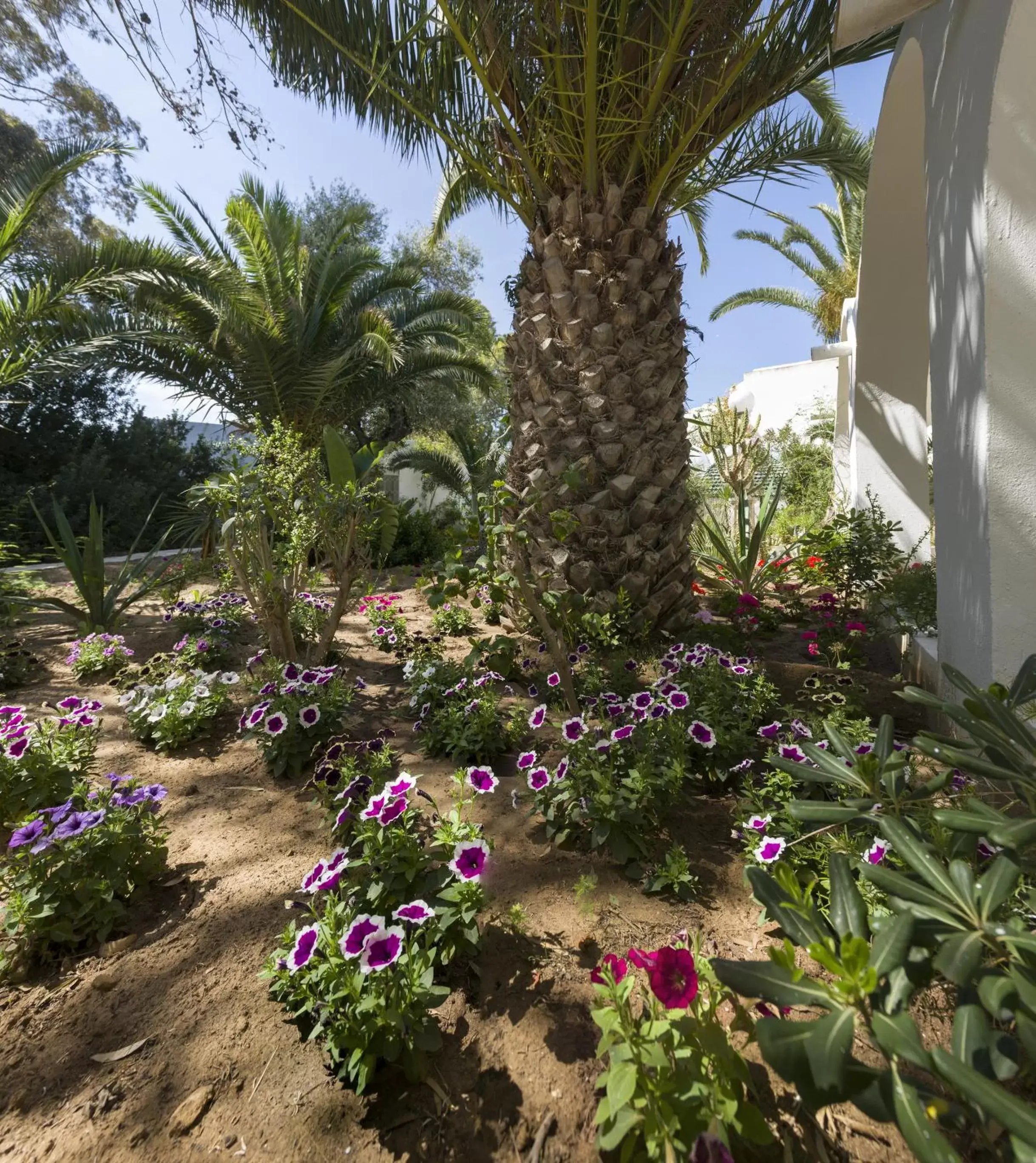 Garden in The Sindbad