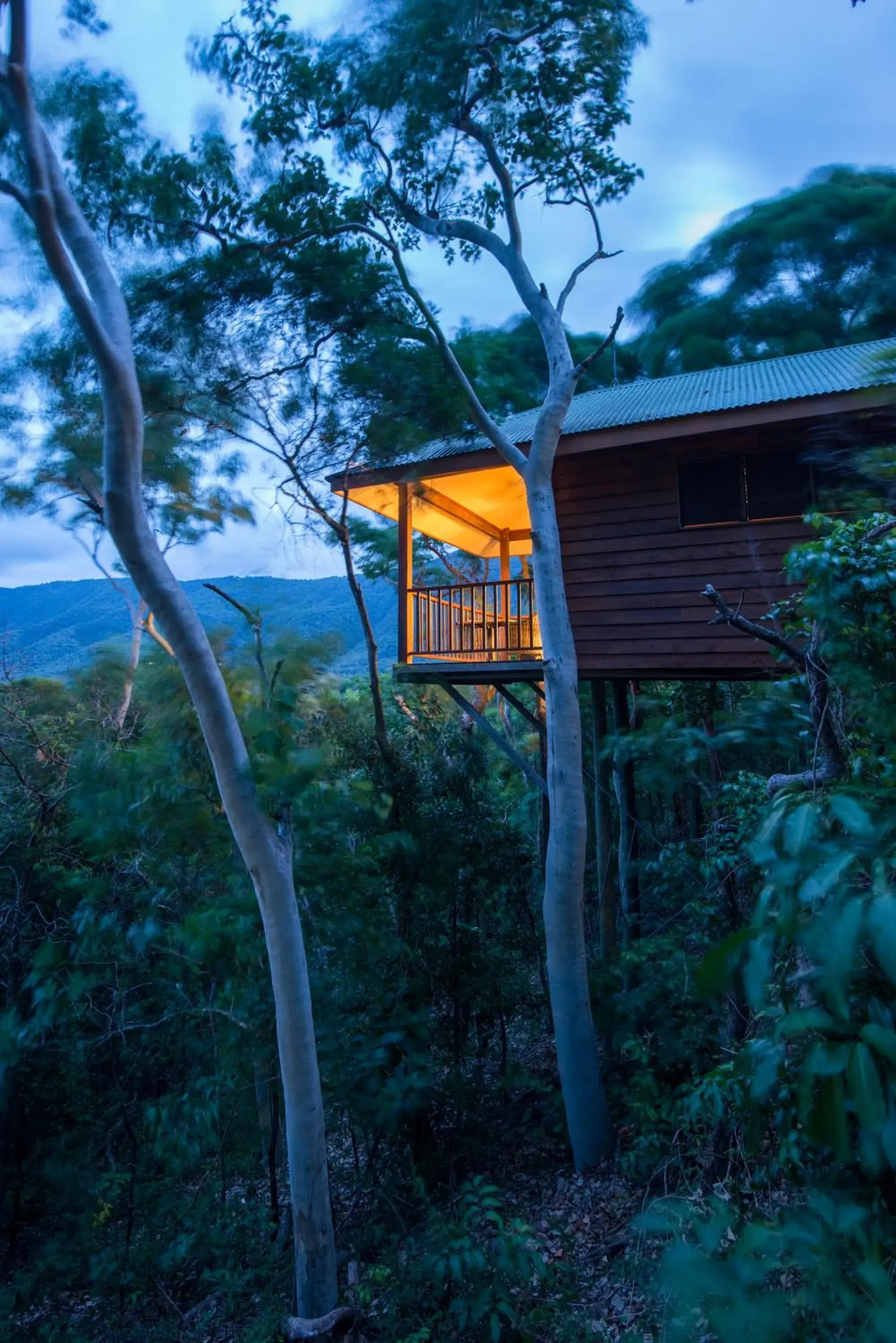 Property building in Thala Beach Nature Reserve