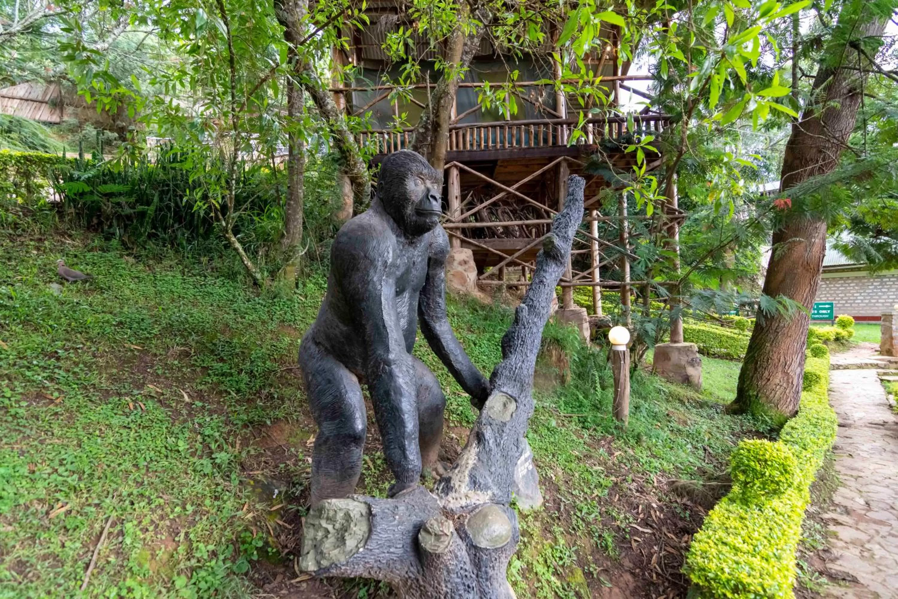 Other in Bunyonyi Overland Resort