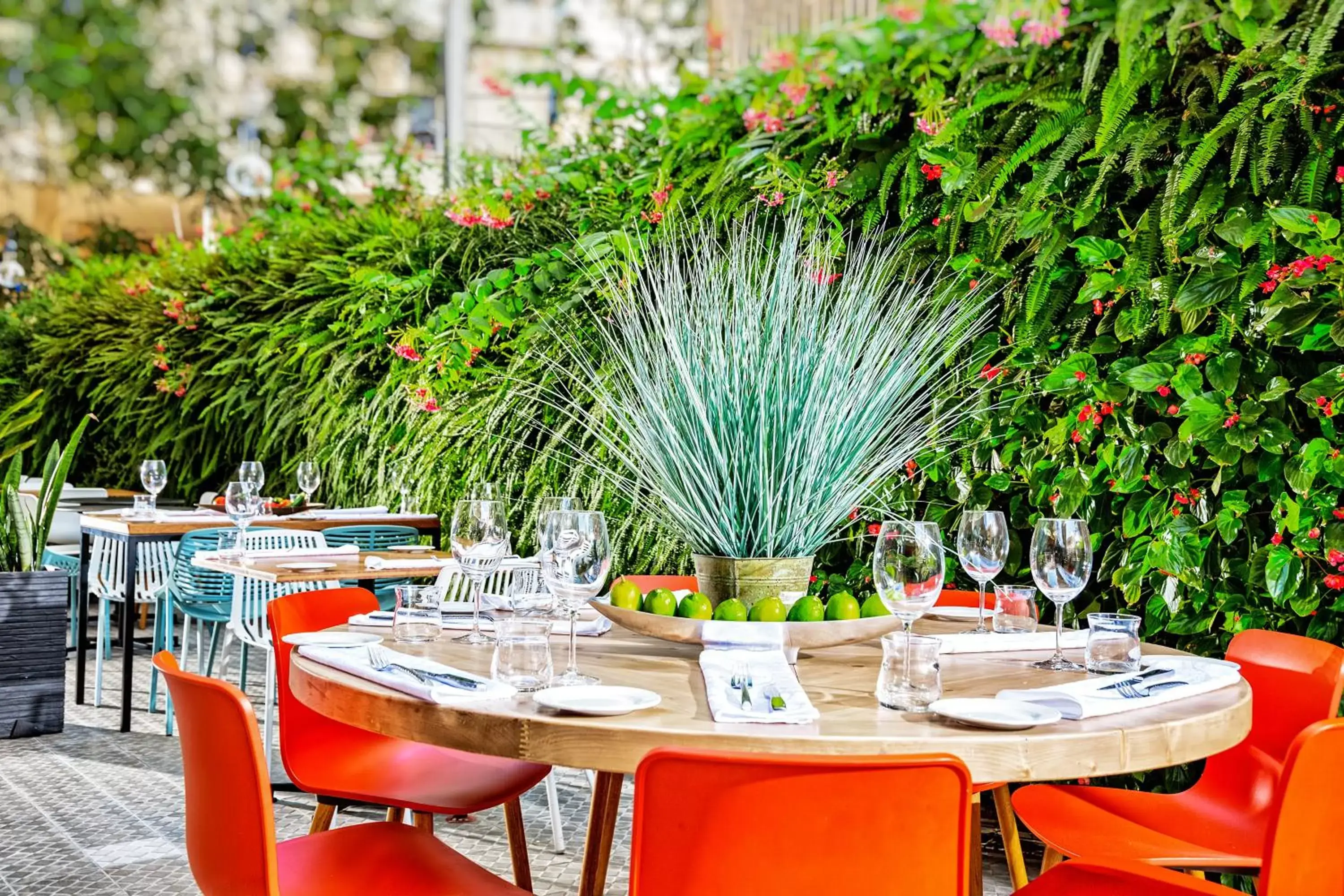 Garden, Restaurant/Places to Eat in Prima City Hotel