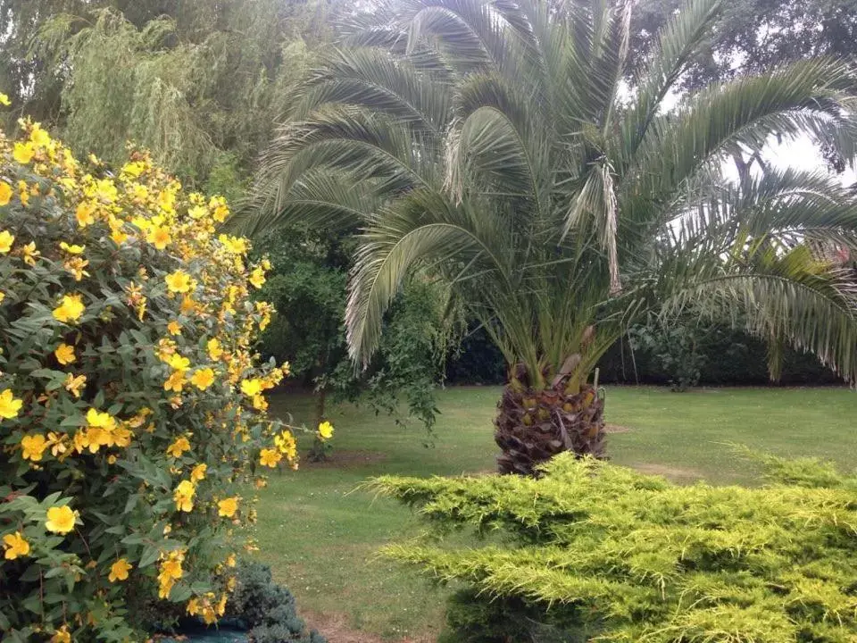 Garden in Les Charmilles