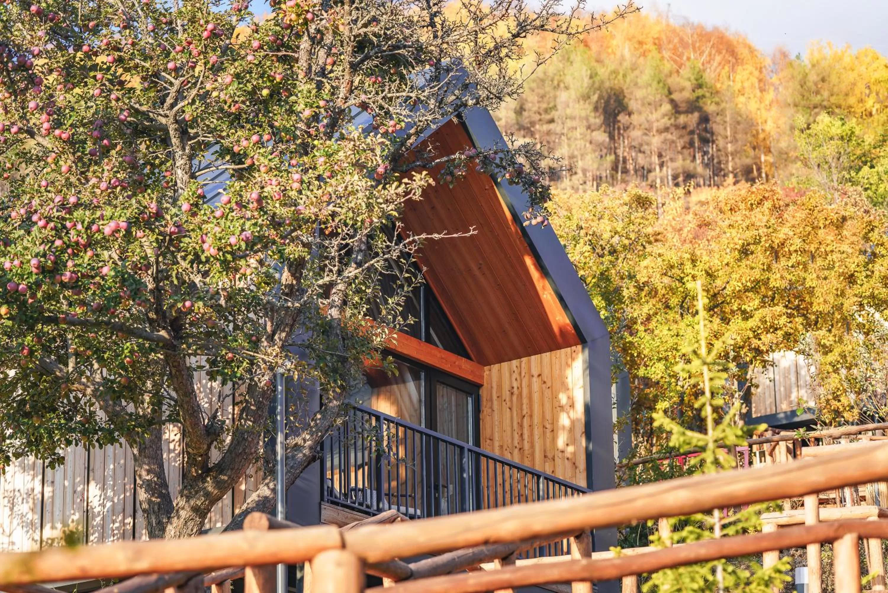 Day in Qazaq Auyl Eco Hotel