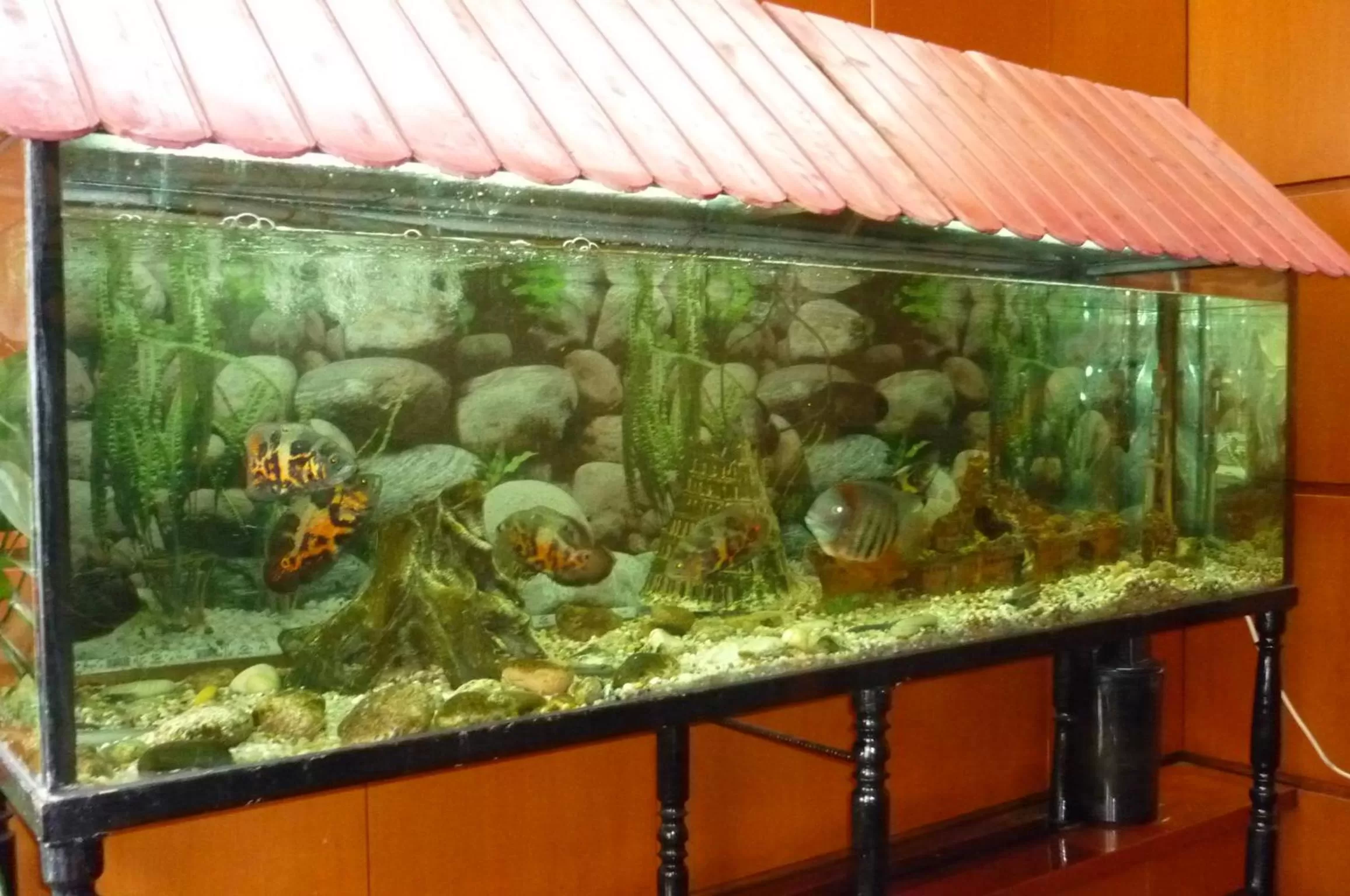 Other in Hotel Francisco Javier