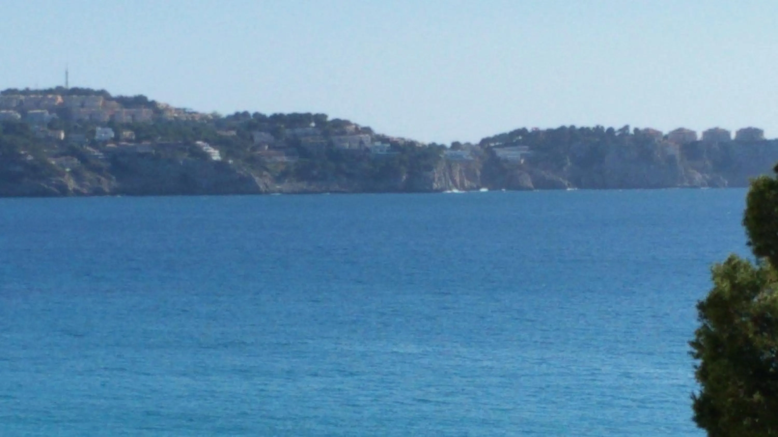 Sea view in Hotel Creta Paguera