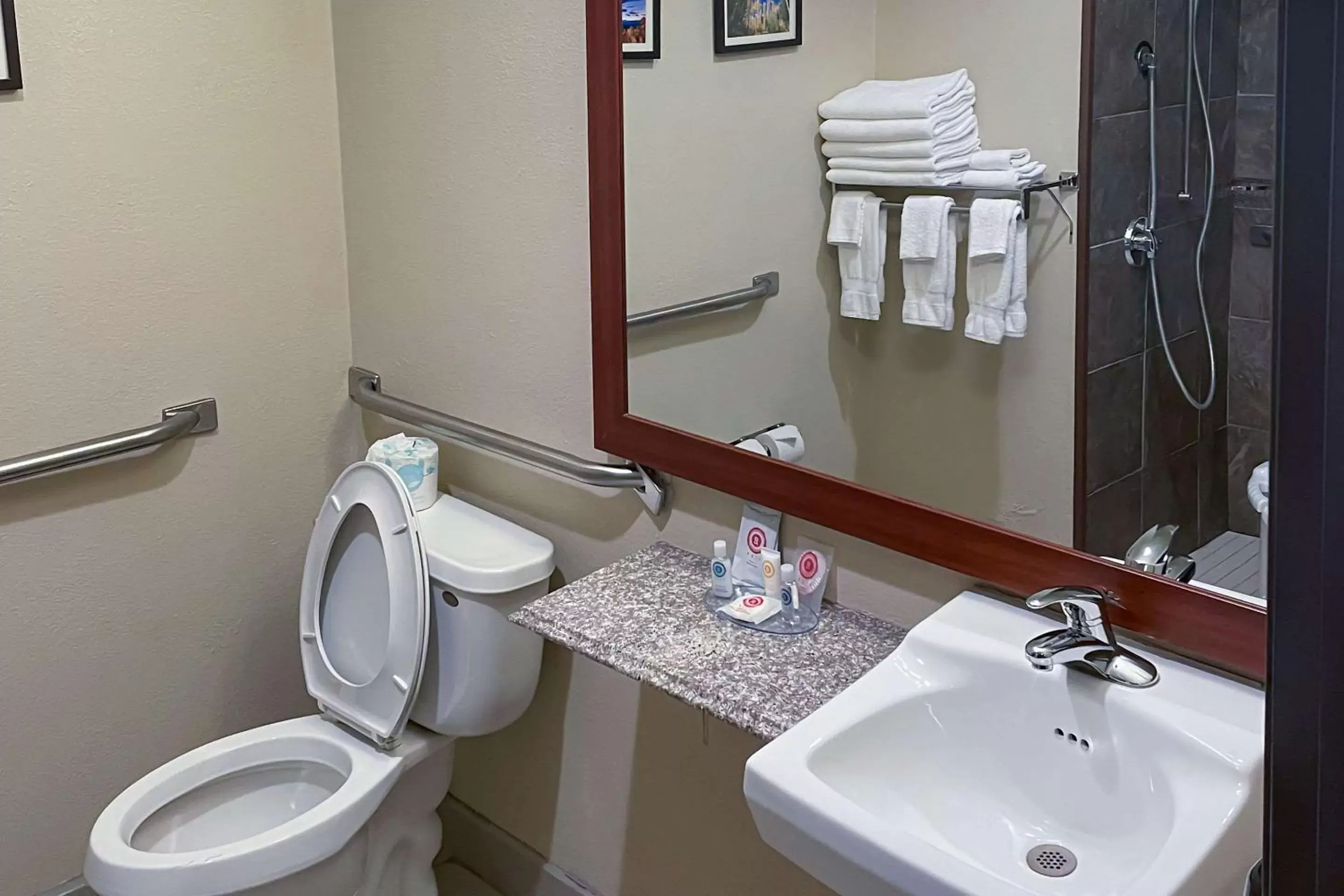 Bathroom in Comfort Inn & Suites Midtown