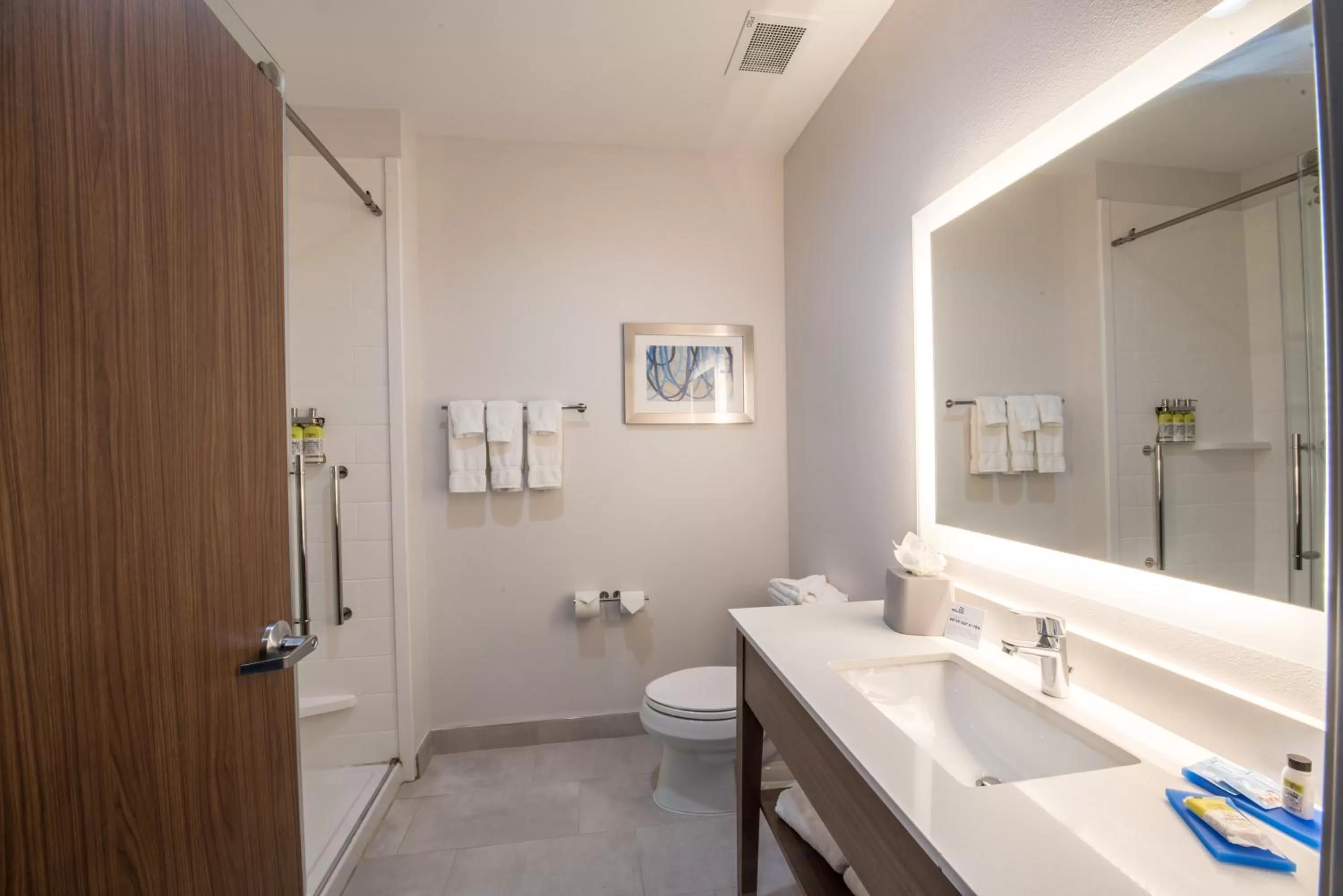Bathroom in Holiday Inn Express & Suites - Houston Westchase - Westheimer by IHG