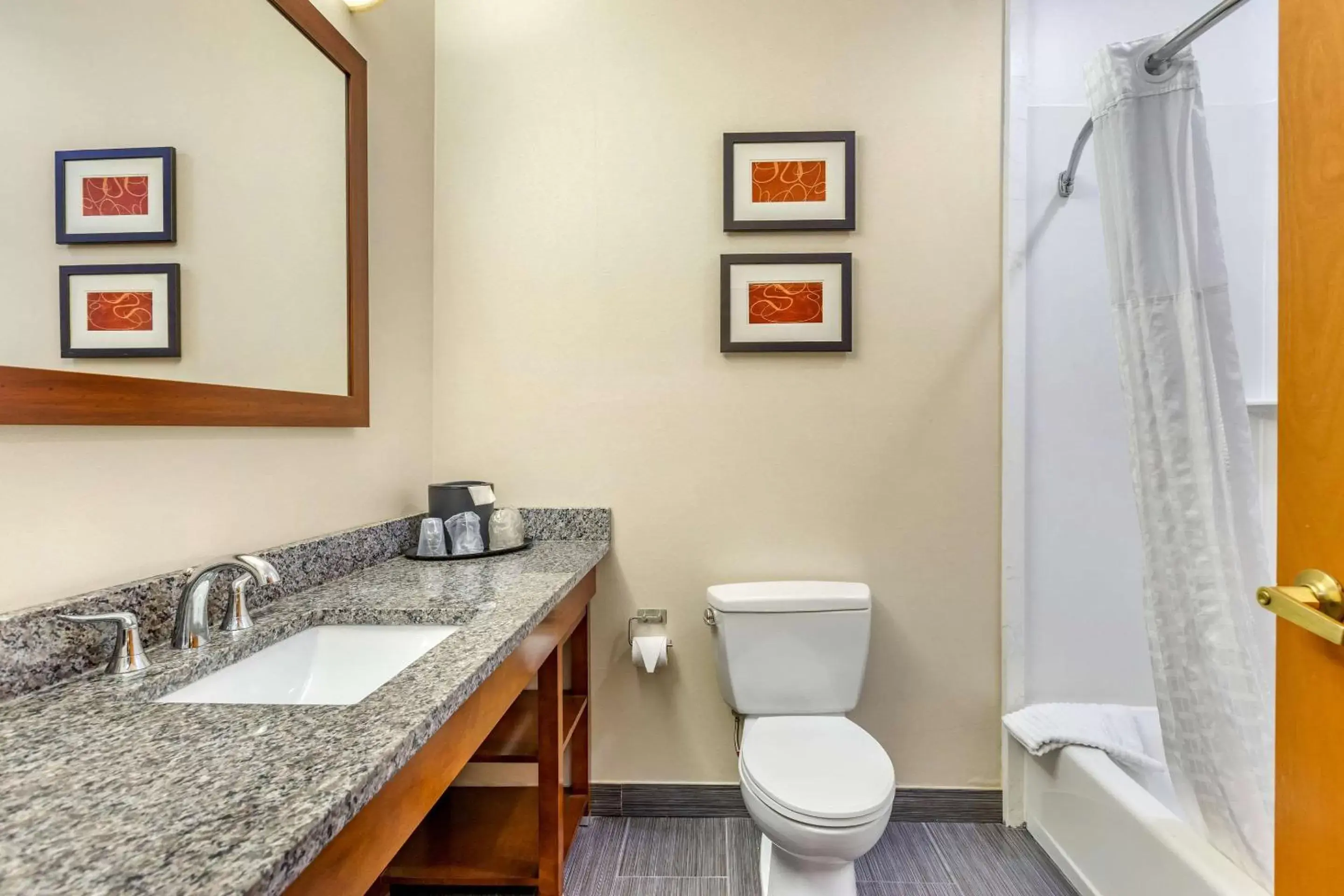 Photo of the whole room, Bathroom in Comfort Suites - Southgate Detroit