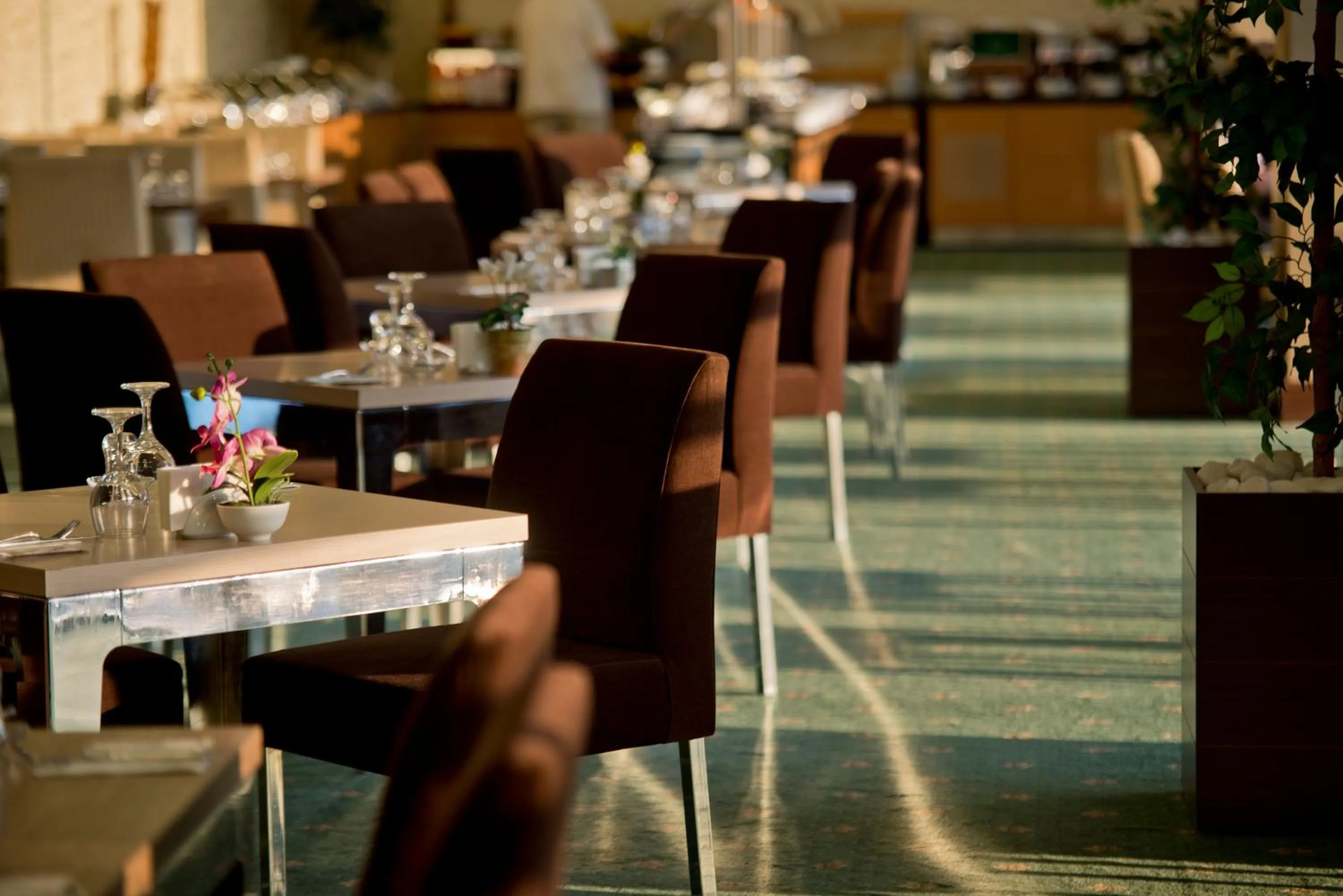 Restaurant/places to eat in North Point Hotel