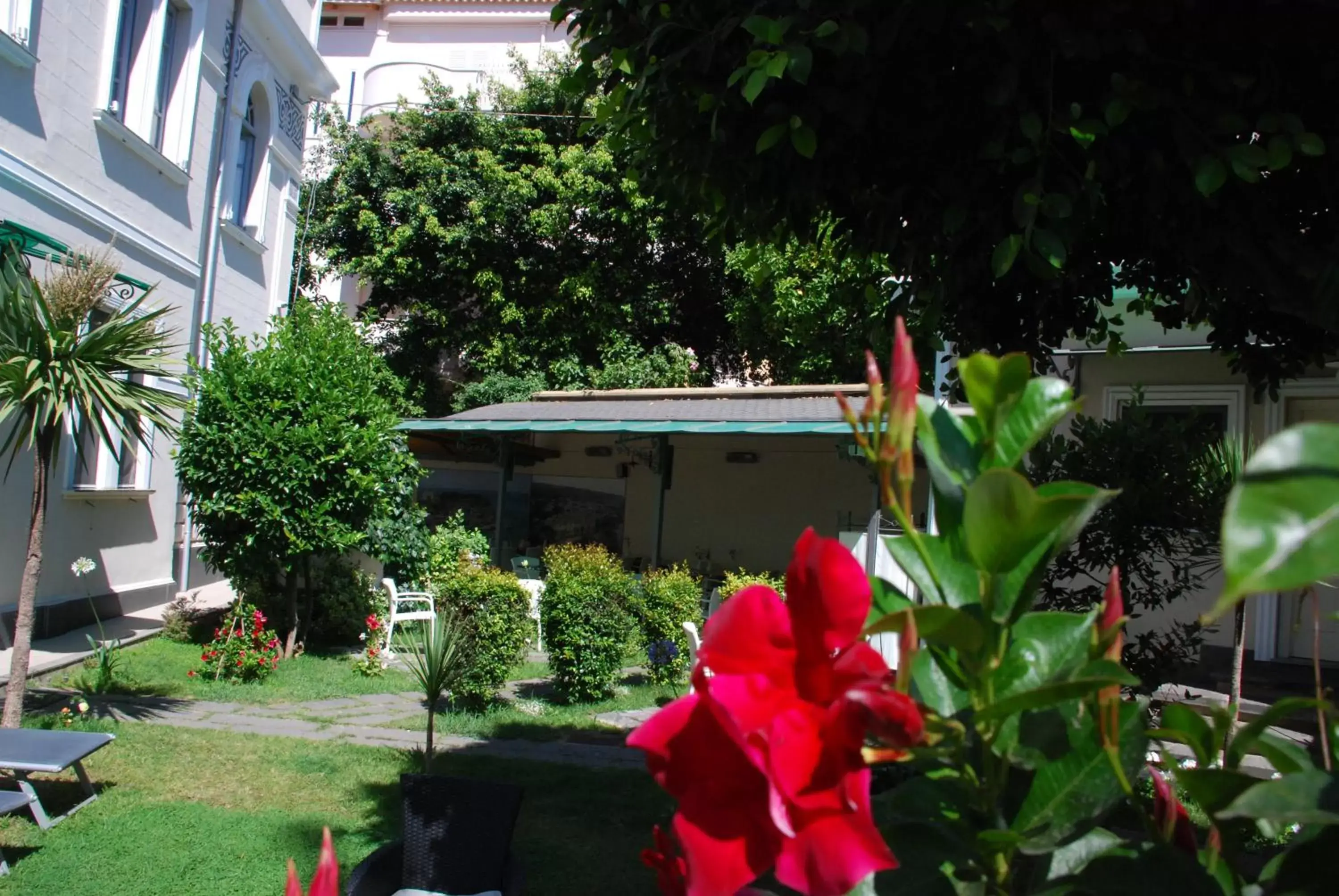 Garden, Property Building in Villa Vittoria Tropea B&B