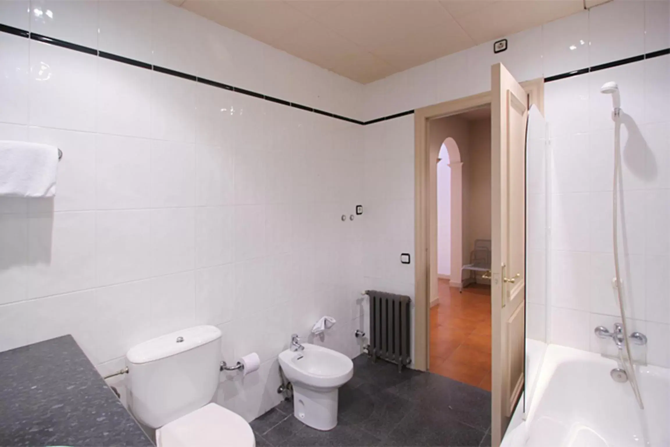 Toilet, Bathroom in Apartamentos DV