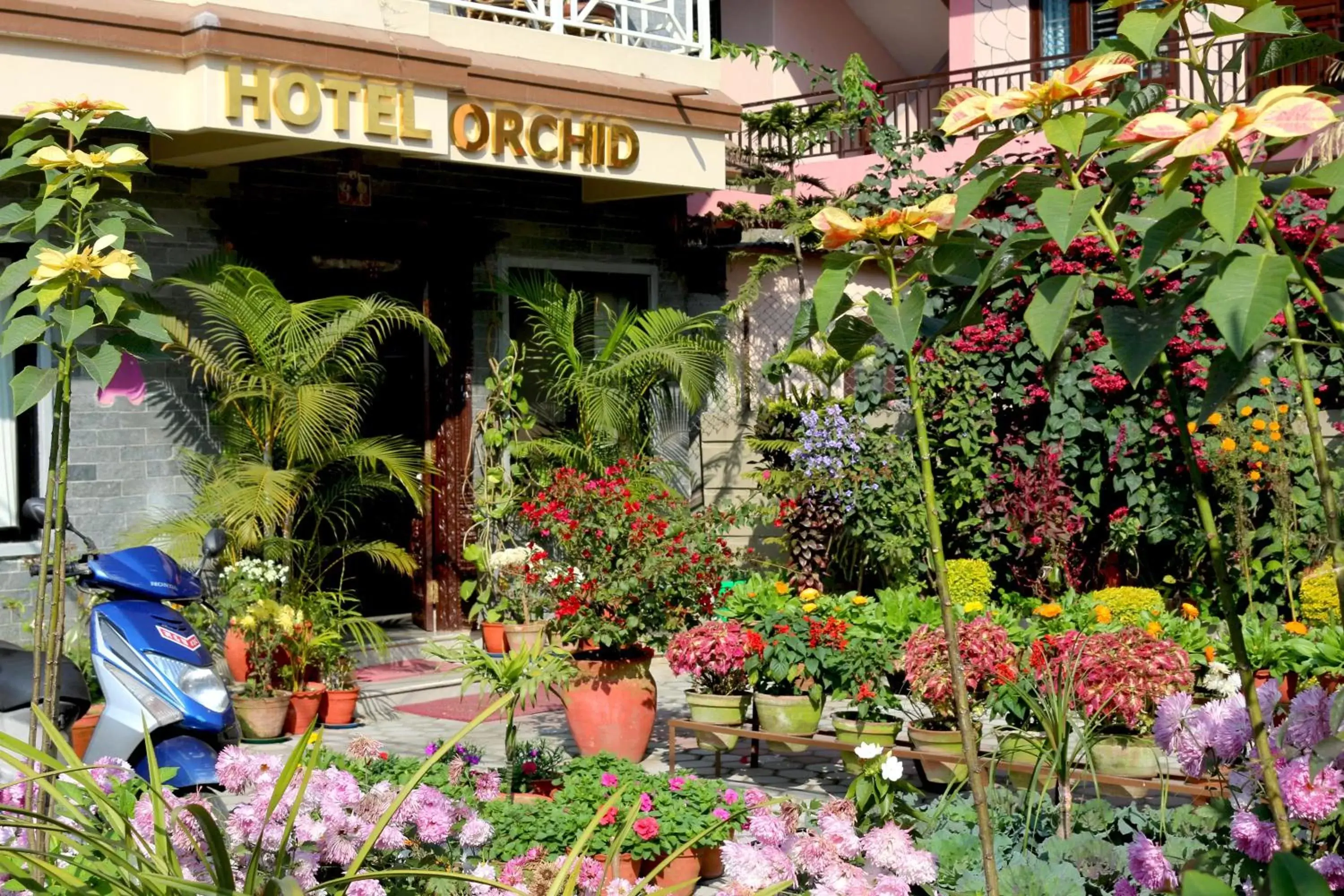 Facade/entrance in Hotel Orchid