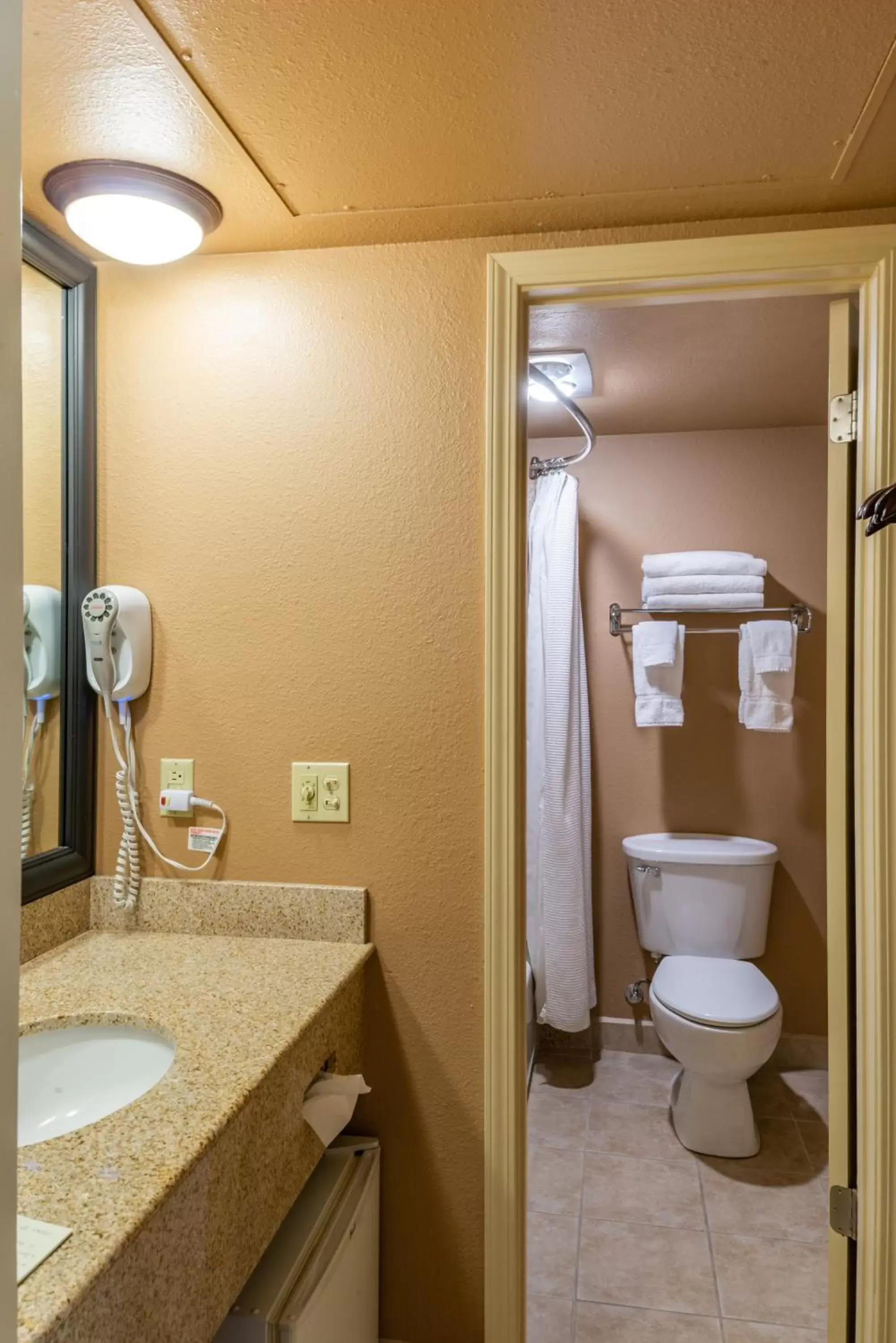 Bathroom, Coffee/Tea Facilities in Best Western Vista Inn at the Airport