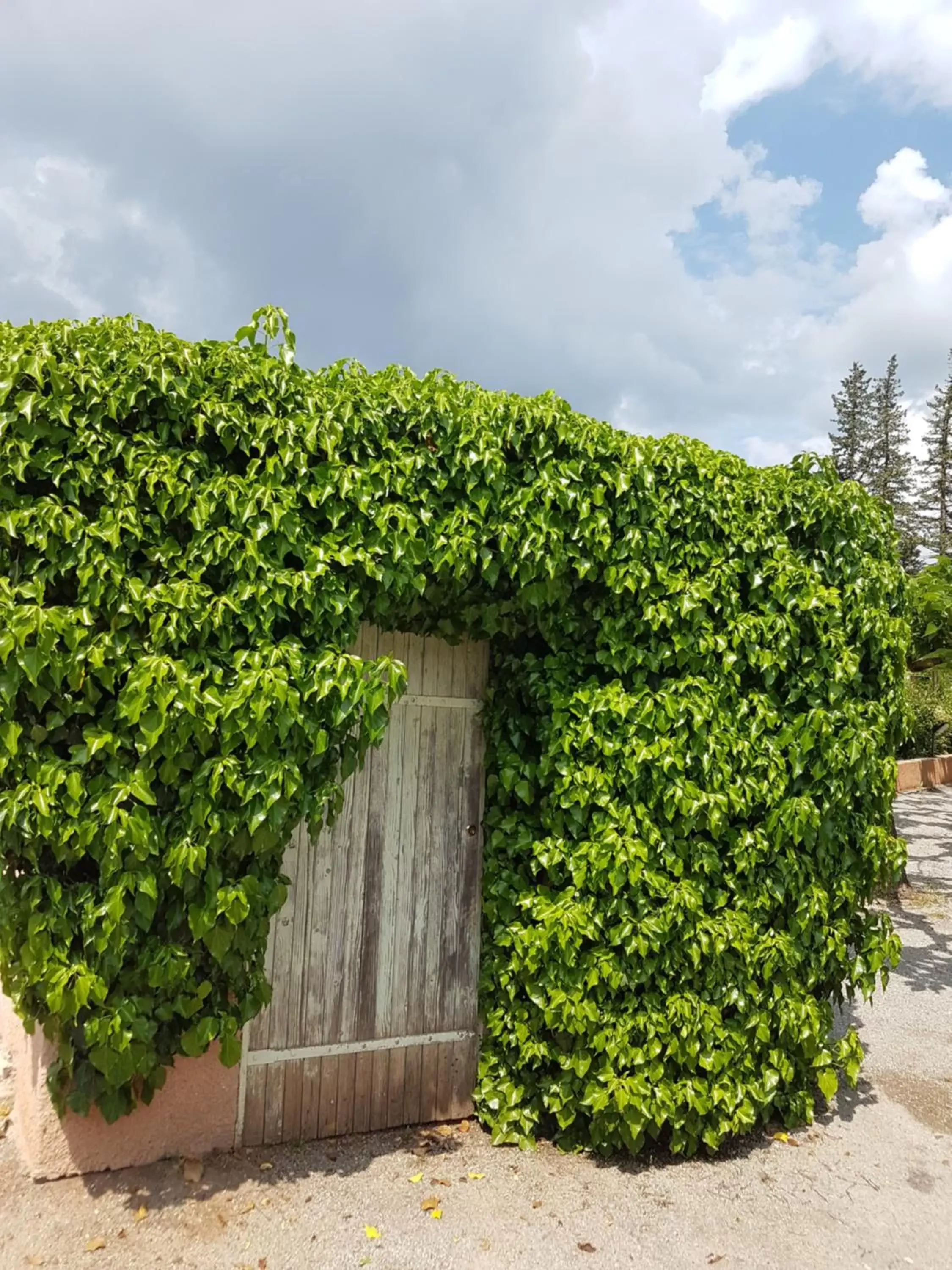 Garden view in Le Mas du Lingousto