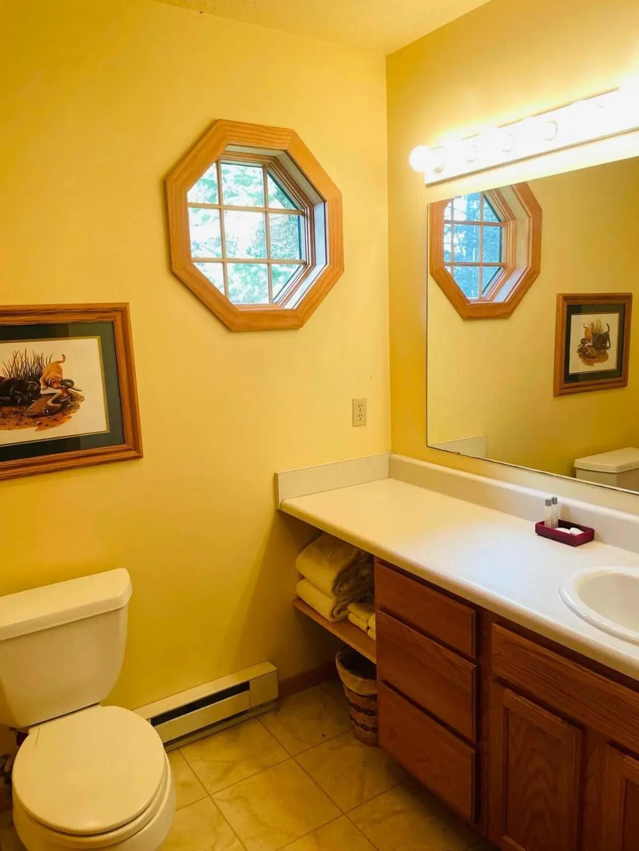 Toilet, Bathroom in Drummond Island Resort & Conference Center