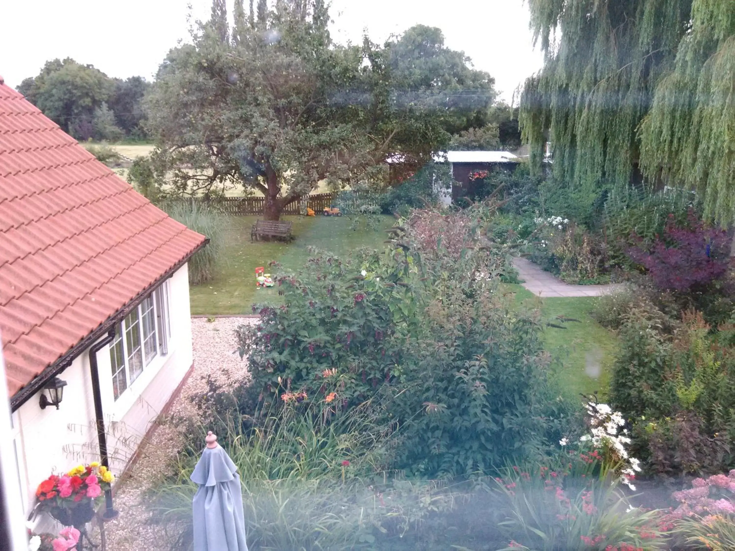 Garden view in White Cottage B and B