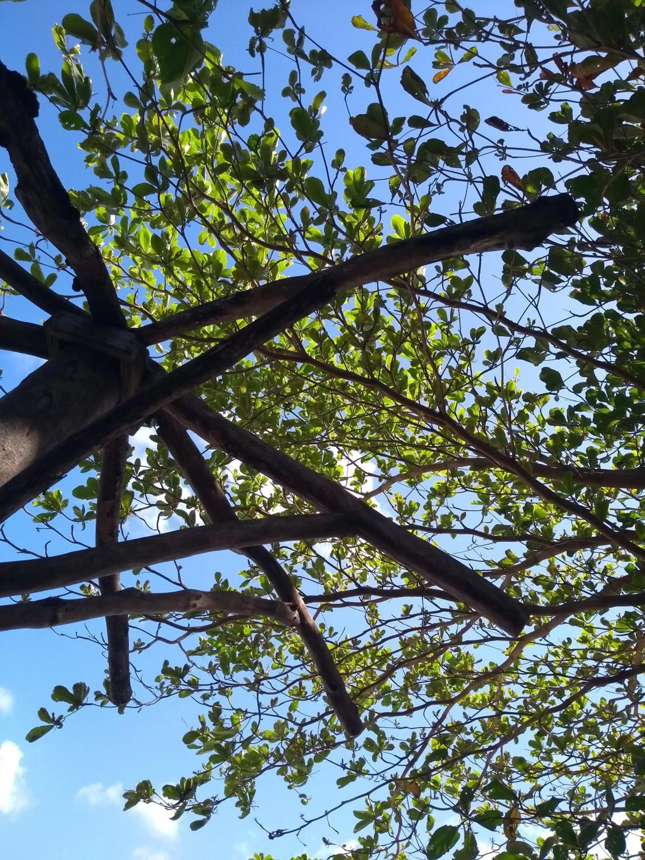 Port Antonio Brian's Beach House