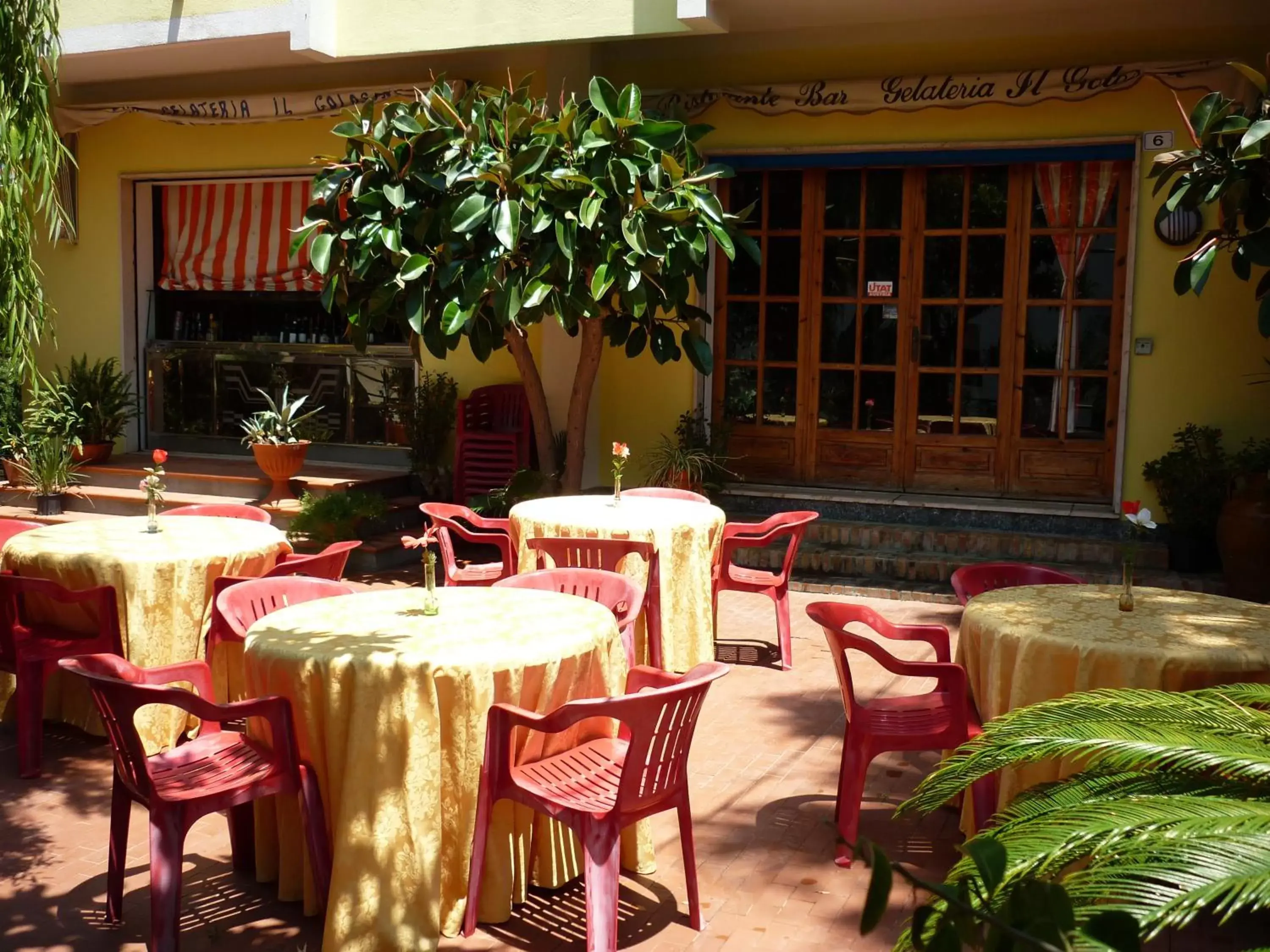 Garden, Restaurant/Places to Eat in Hotel Alexander