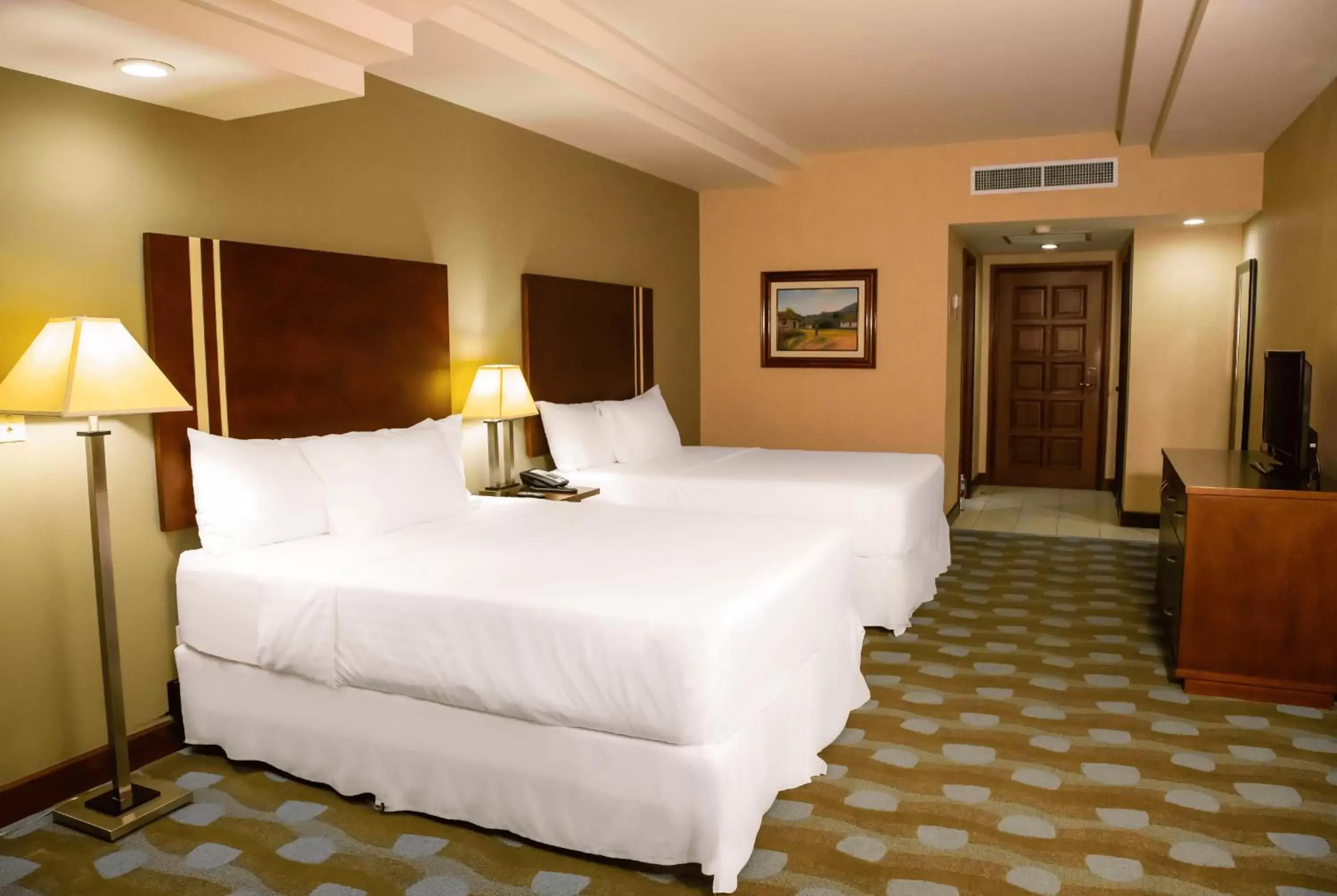 Standard Double Room - single occupancy in Hotel Plaza Juan Carlos Standard Double Room - single occupancy in Hotel Plaza Juan Carlos