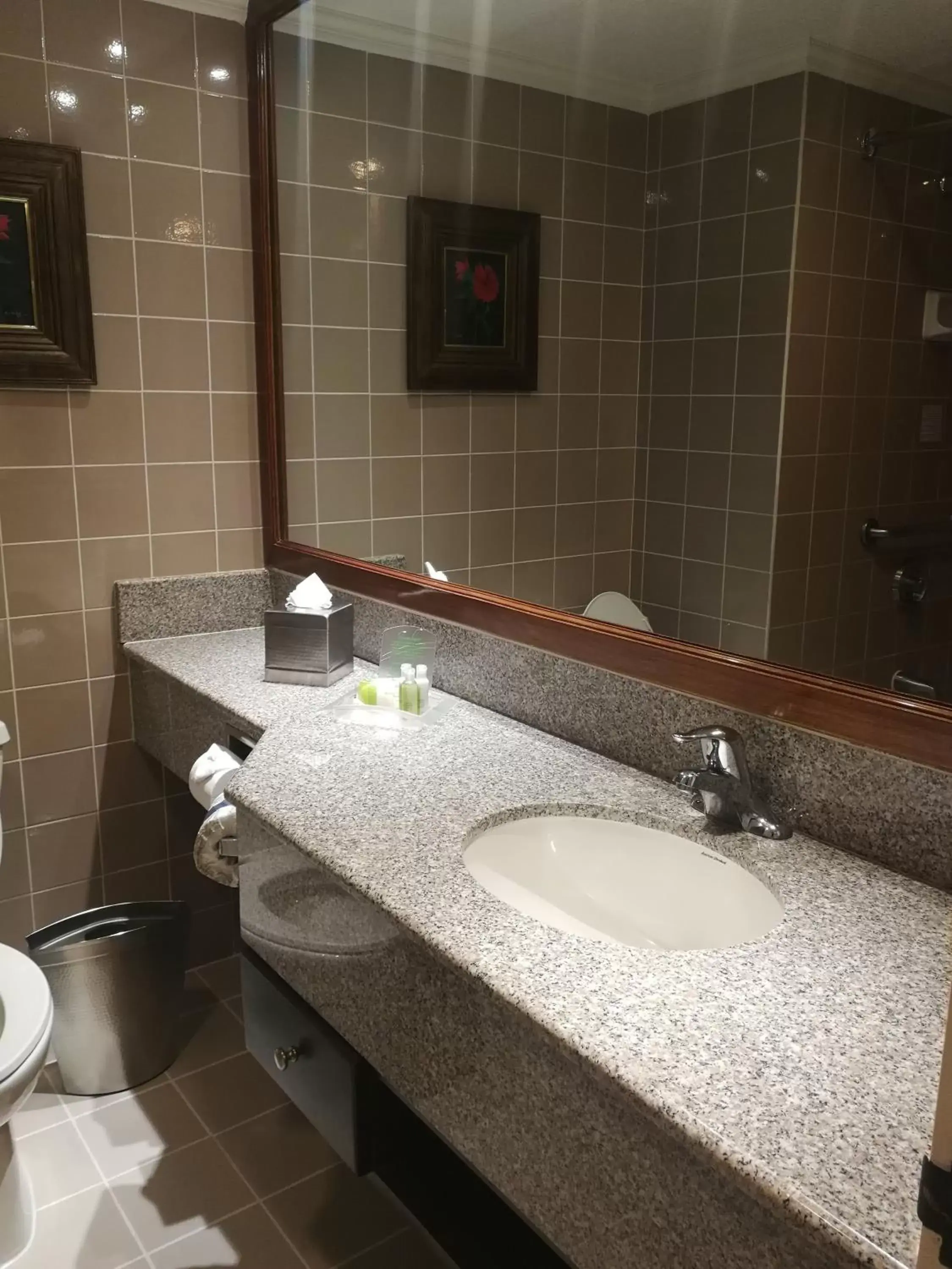 Bathroom in Holiday Inn San Jose Aurola, an IHG Hotel
