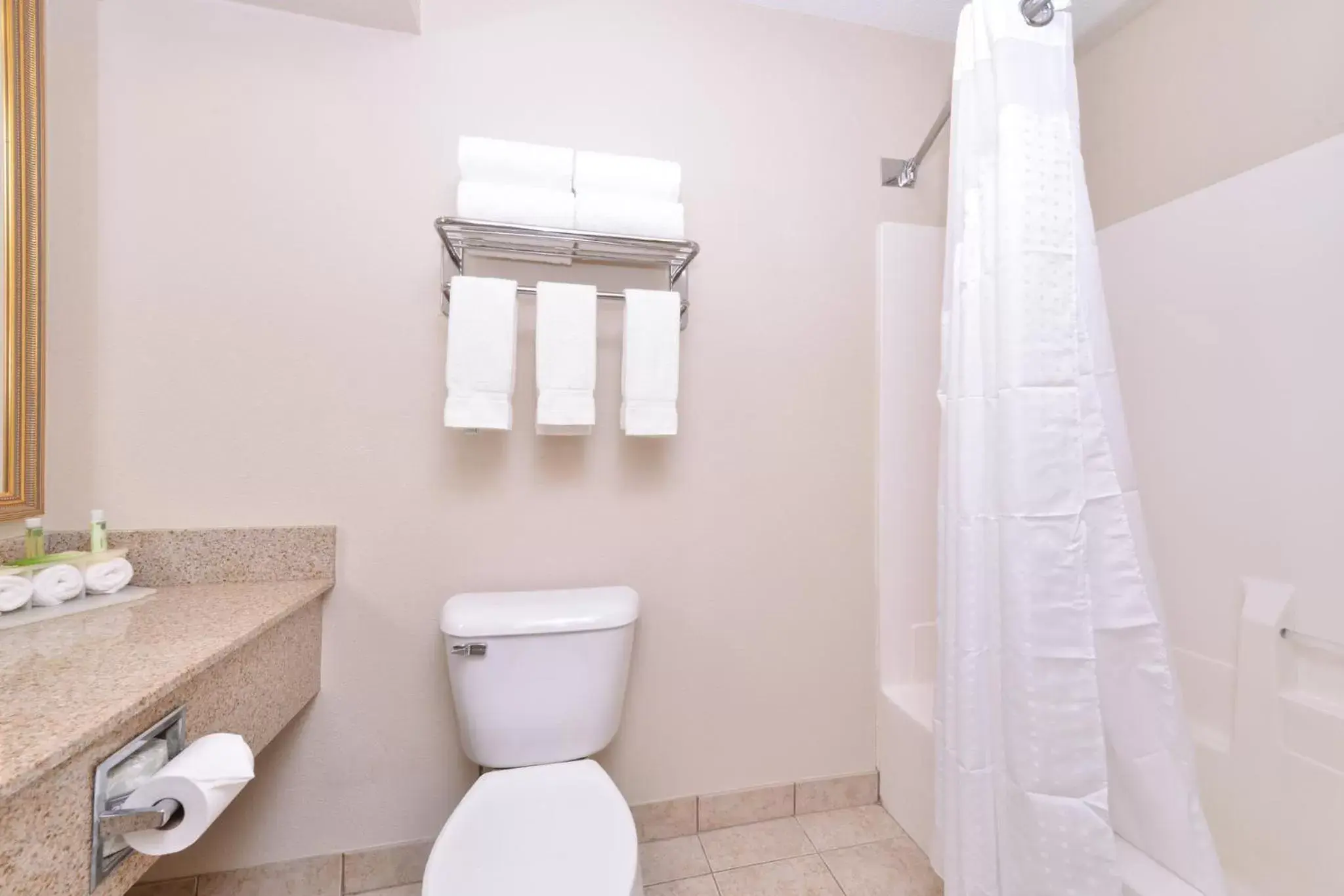 Bathroom in Holiday Inn Express Hotel & Suites Madison, an IHG Hotel