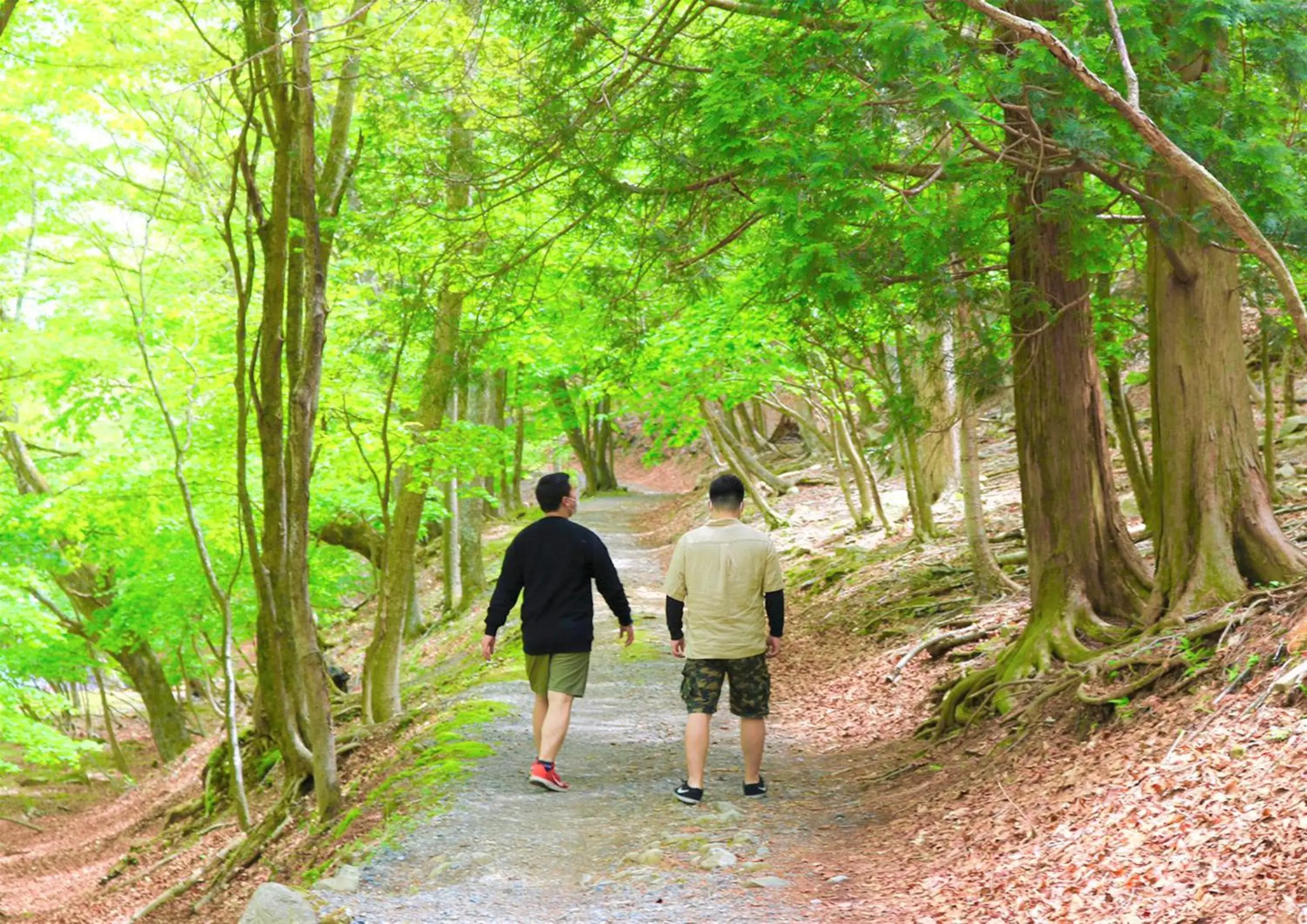 Hiking in Hatago Nagomi Hot Spring Hotel