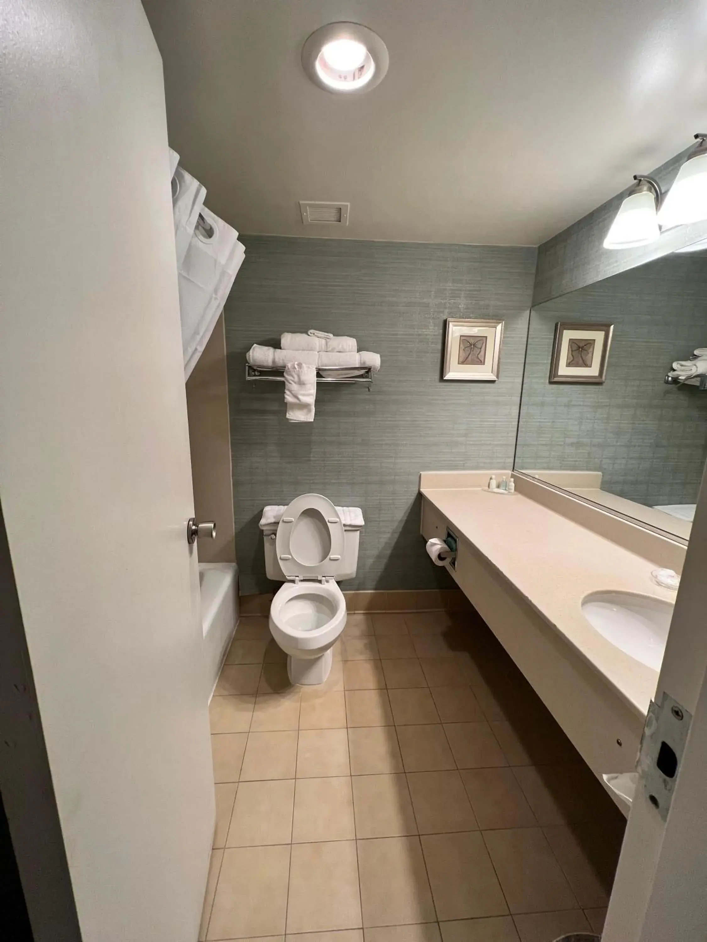 Bathroom in Clarion Hotel & Suites Convention Center Fredericksburg