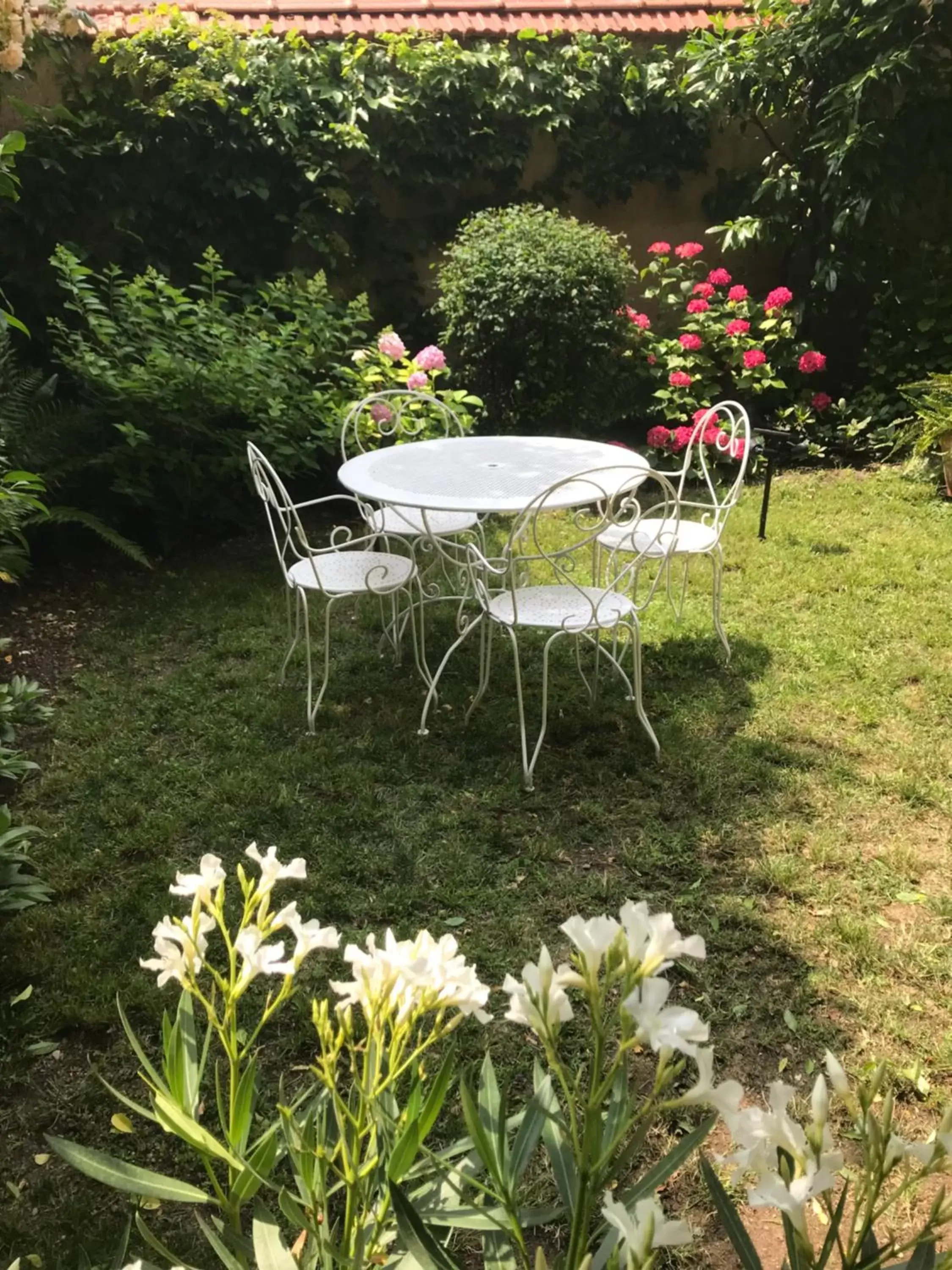 Garden in LE JARDIN D'ALEXANDRE