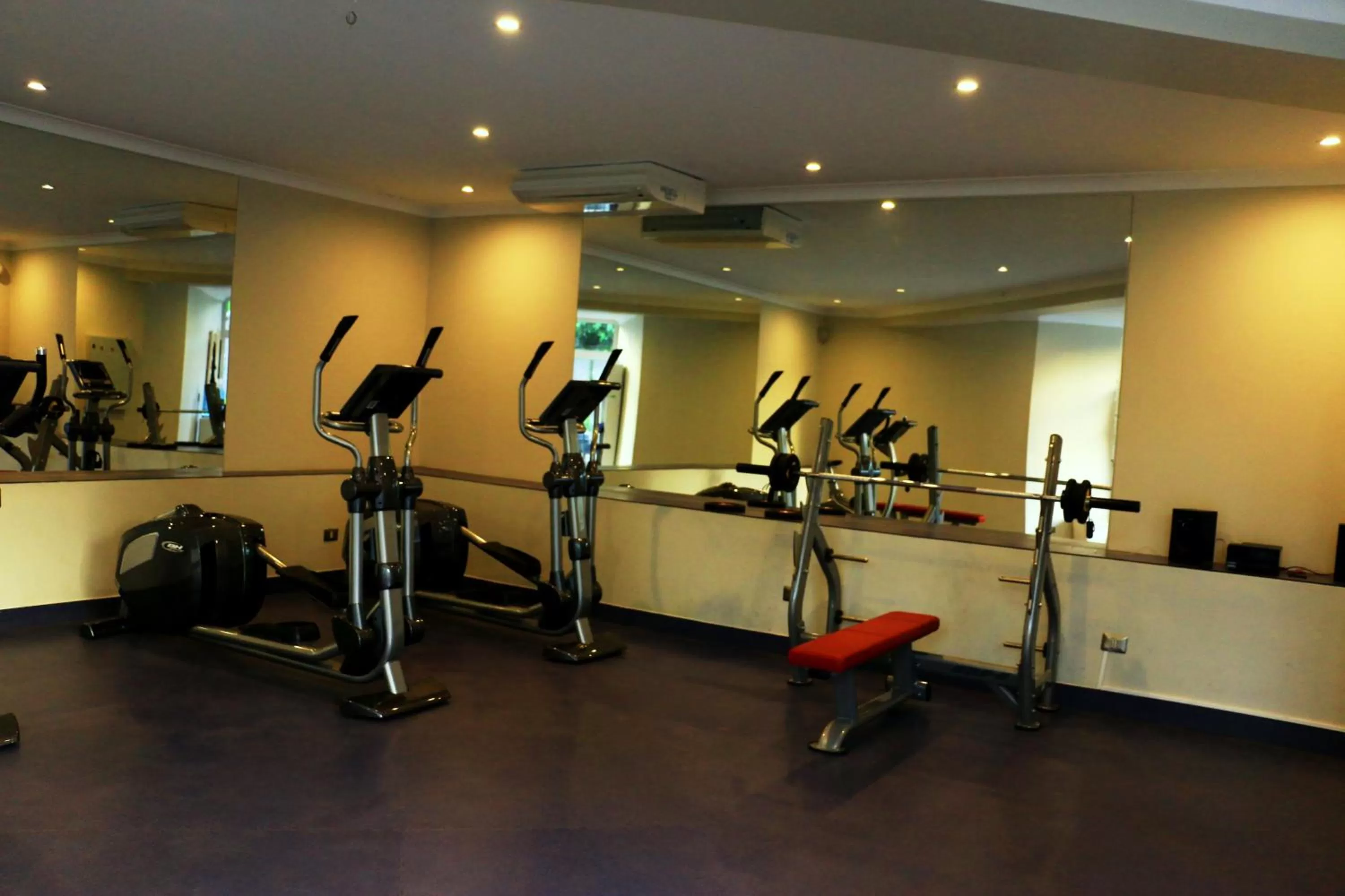 Fitness centre/facilities in Hotel Diego de Almagro Providencia