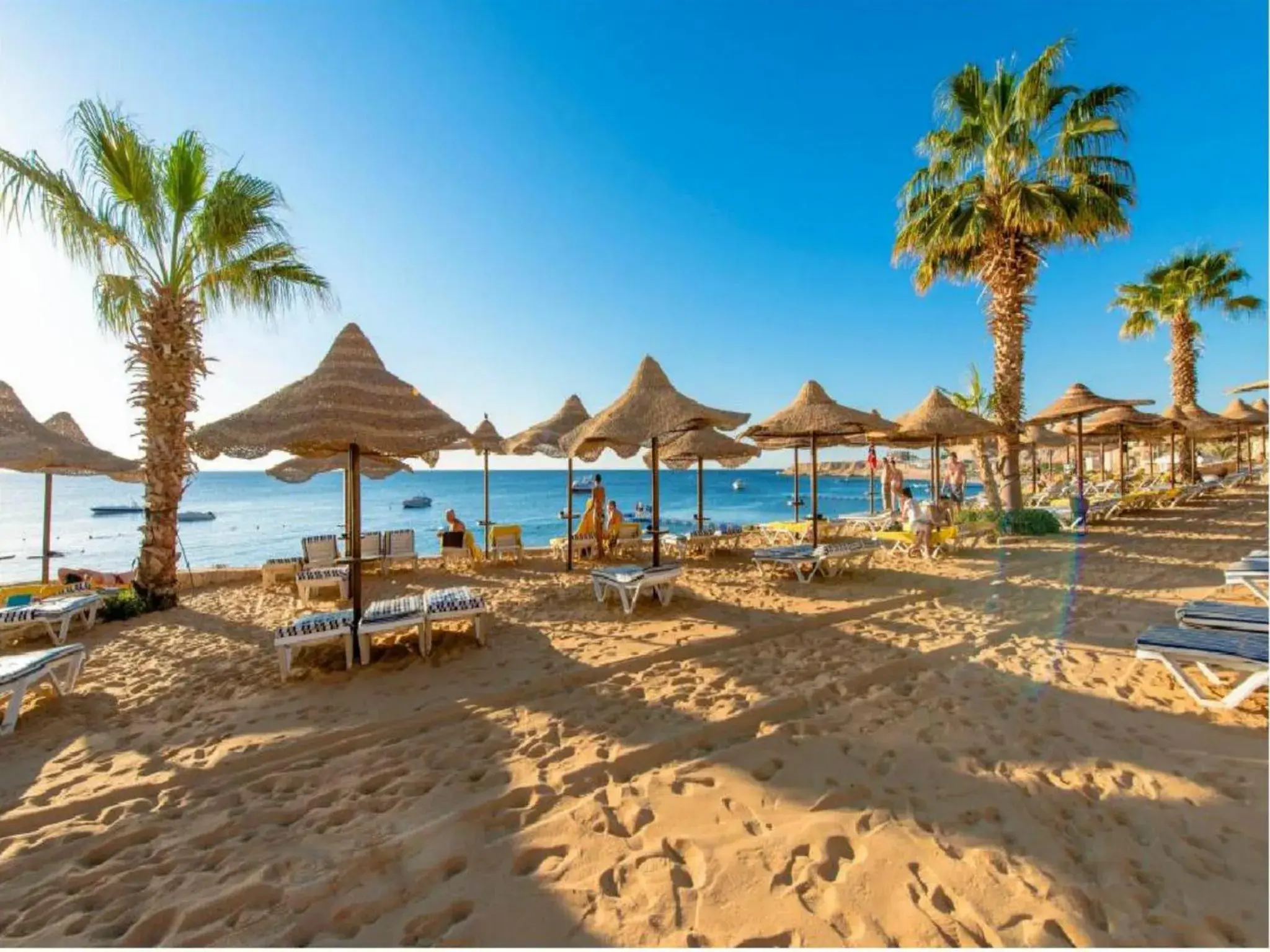Beach in Concorde El Salam Sharm El Sheikh Sport Hotel