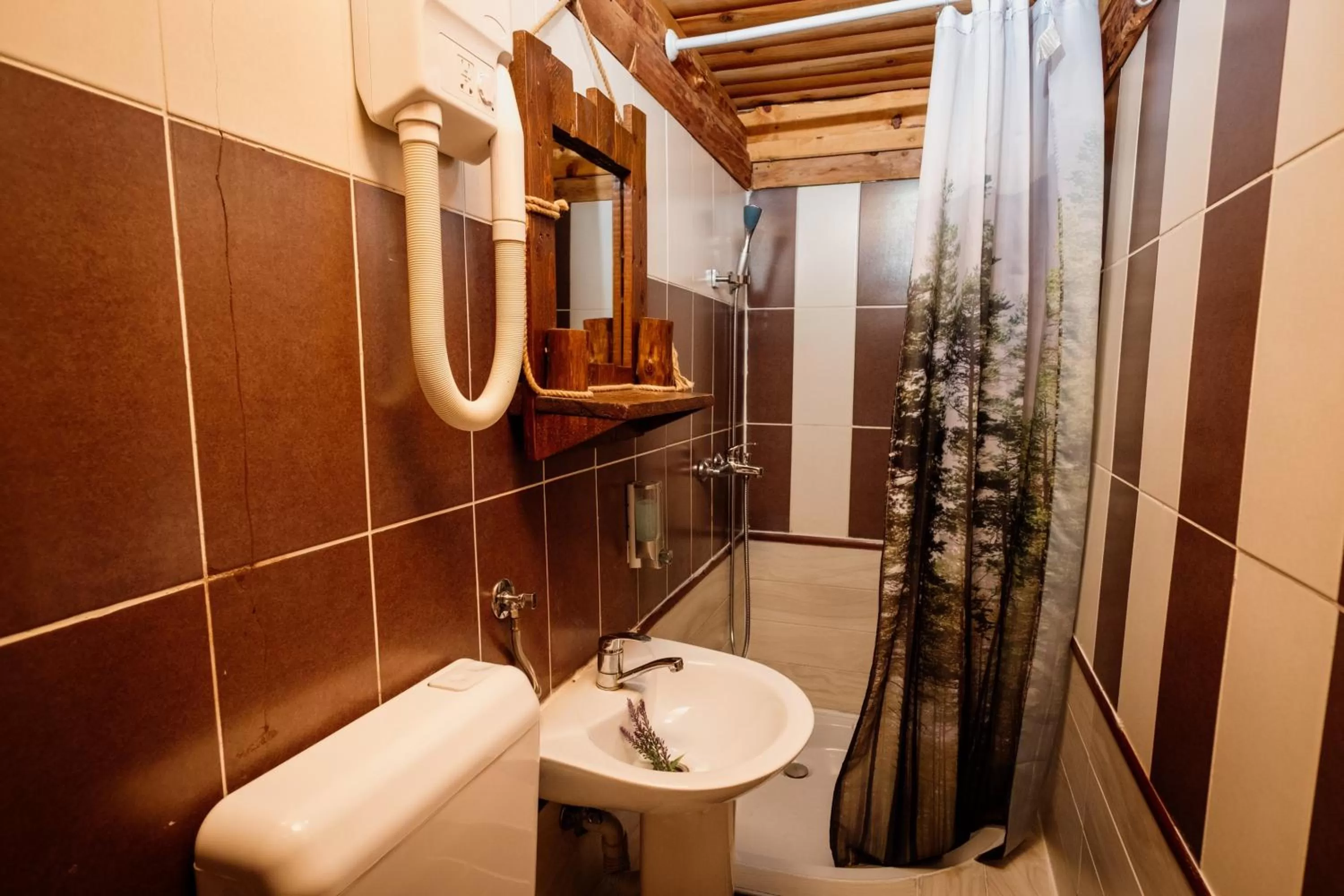 Bathroom in Kraljevsko selo Kotromanićevo