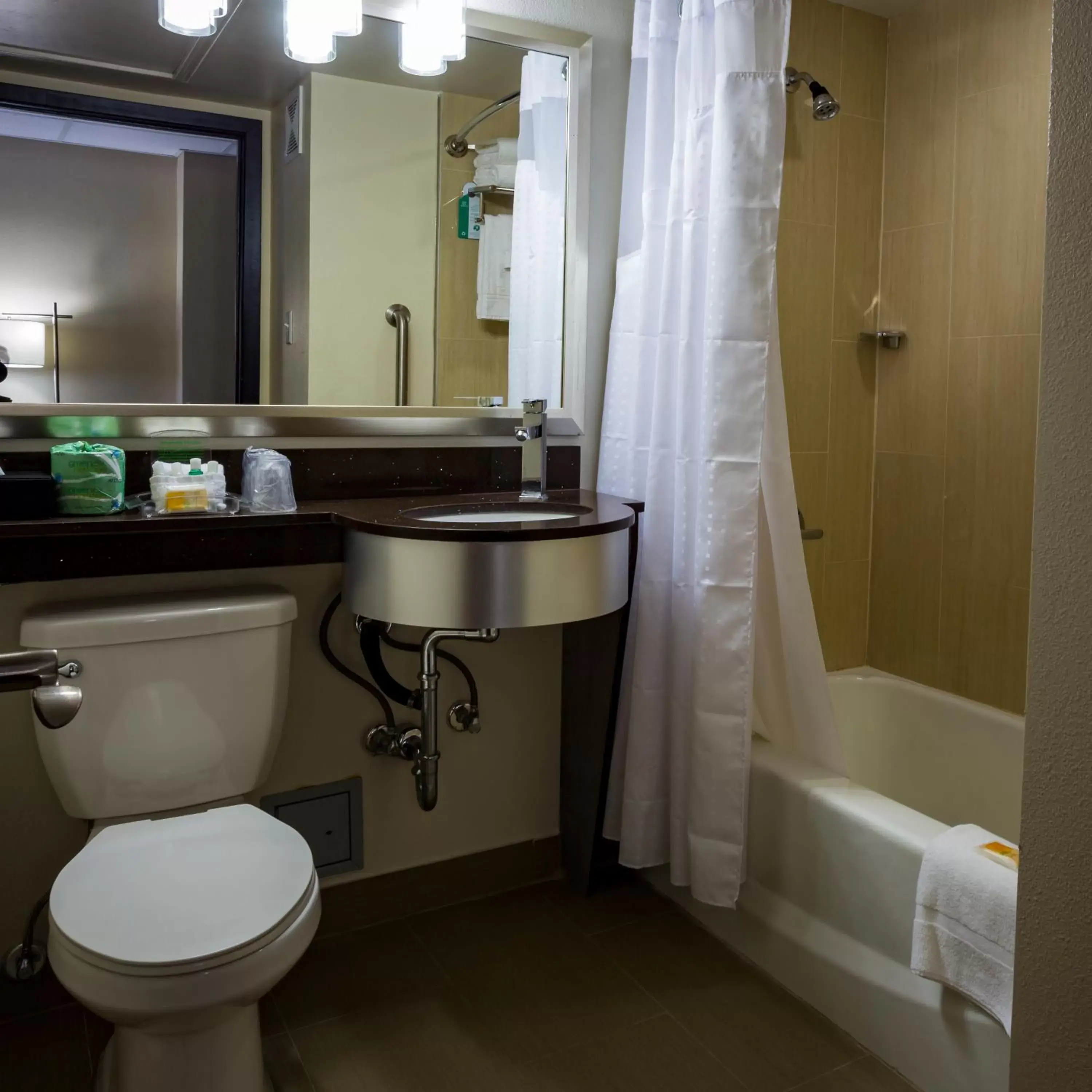 Bathroom in Holiday Inn Houston Downtown, an IHG Hotel